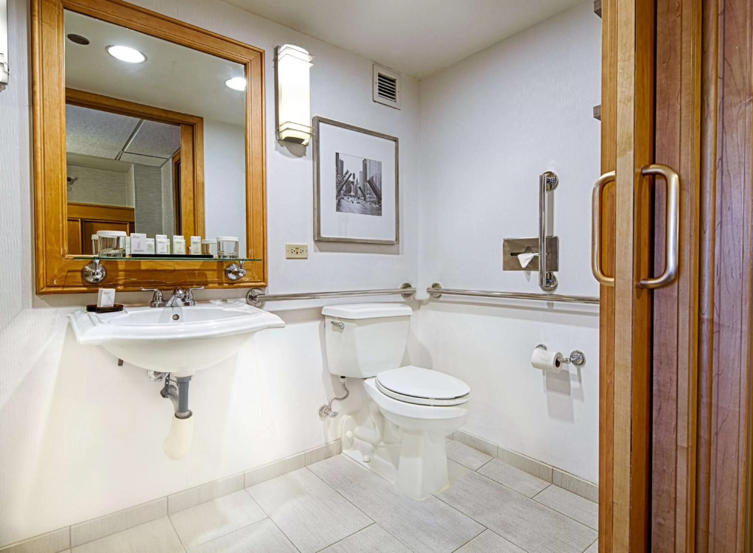 Bathroom in Embassy Suites by Hilton Chicago O'Hare Rosemont