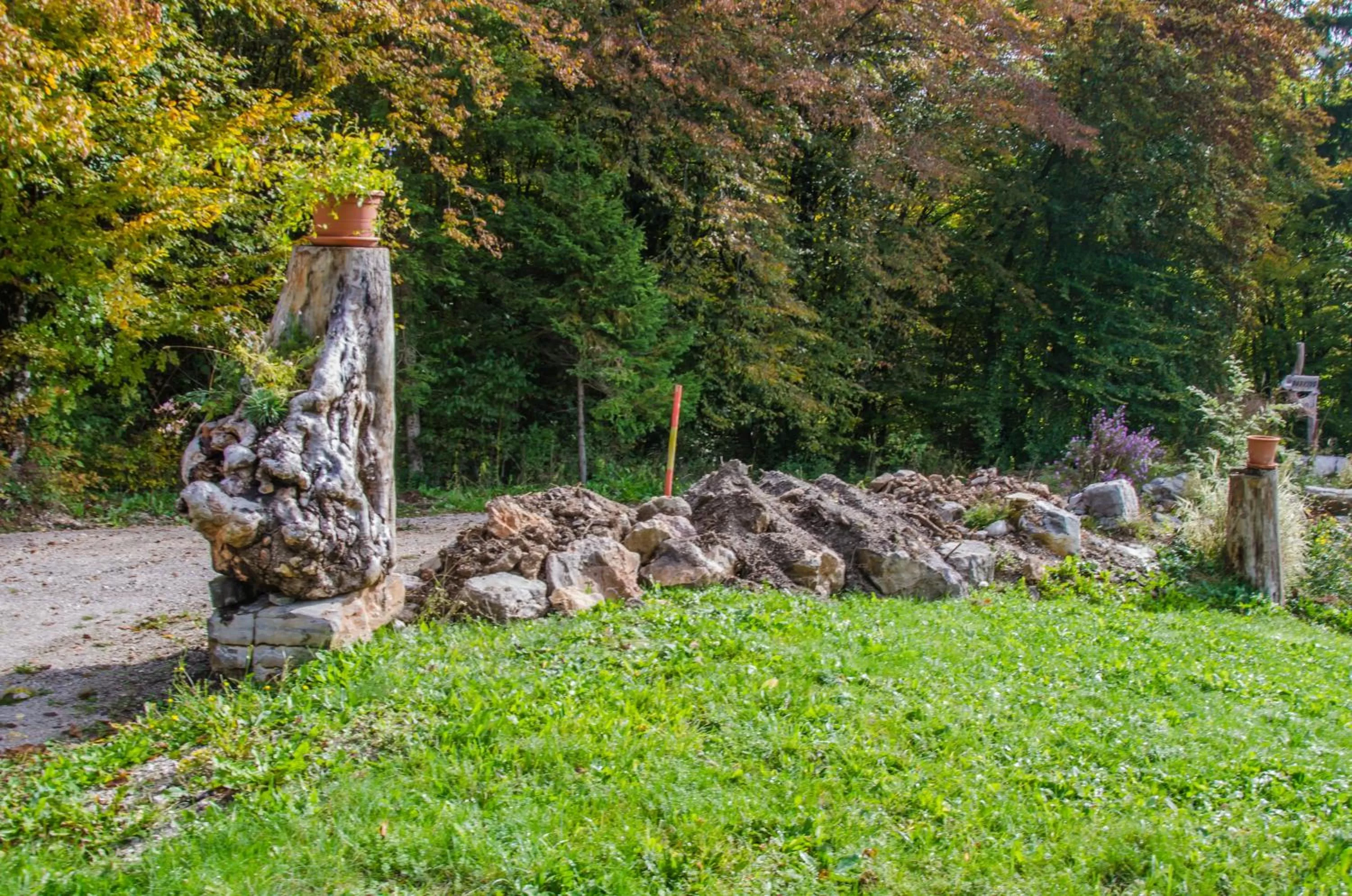Area and facilities, Natural Landscape in Miškar Rooms