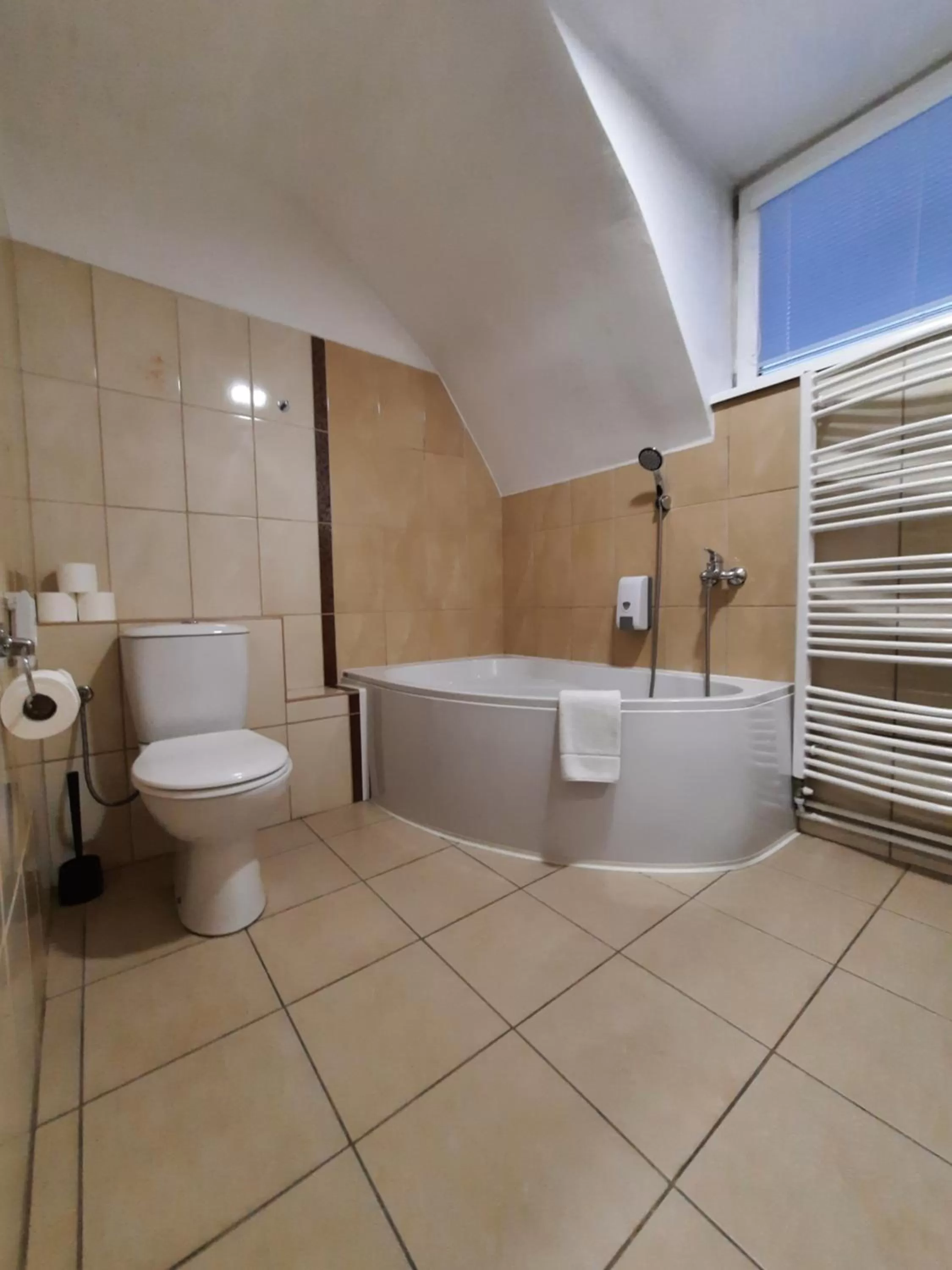 Shower in Hotel Boršičanka