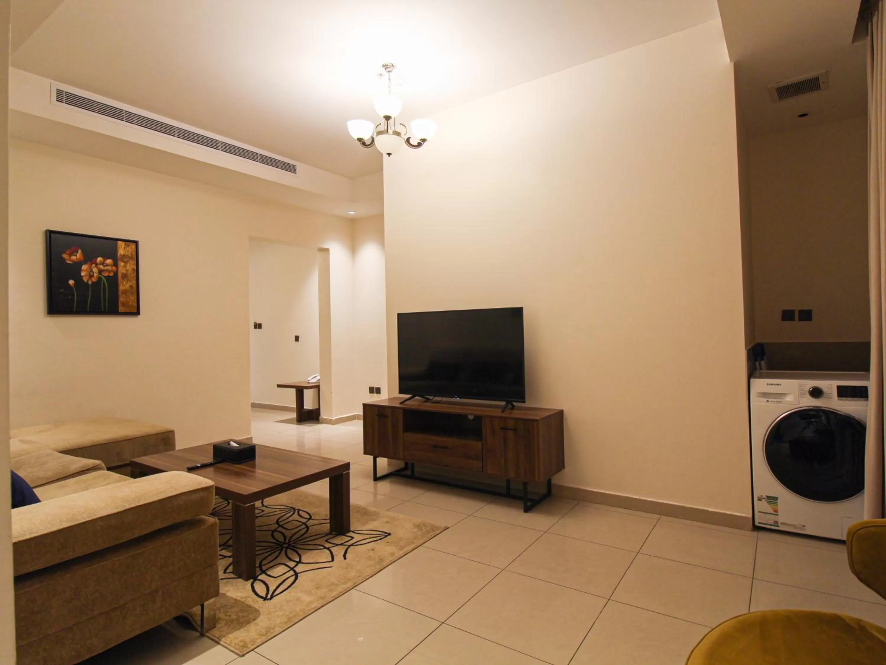 TV/Entertainment Center in Friesian Hotel Suites