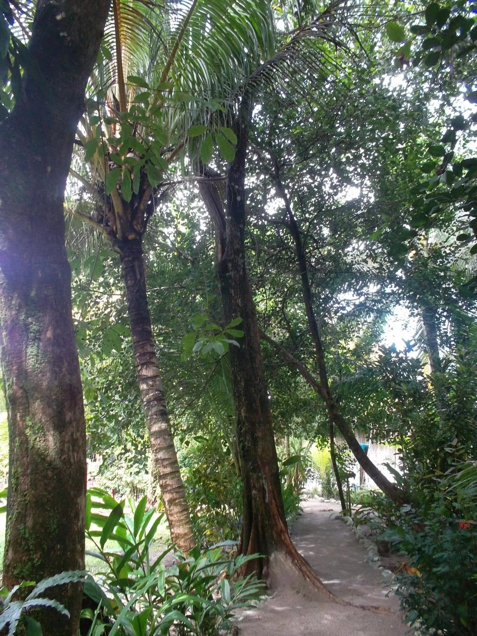 Hotel Salvador Gaviota