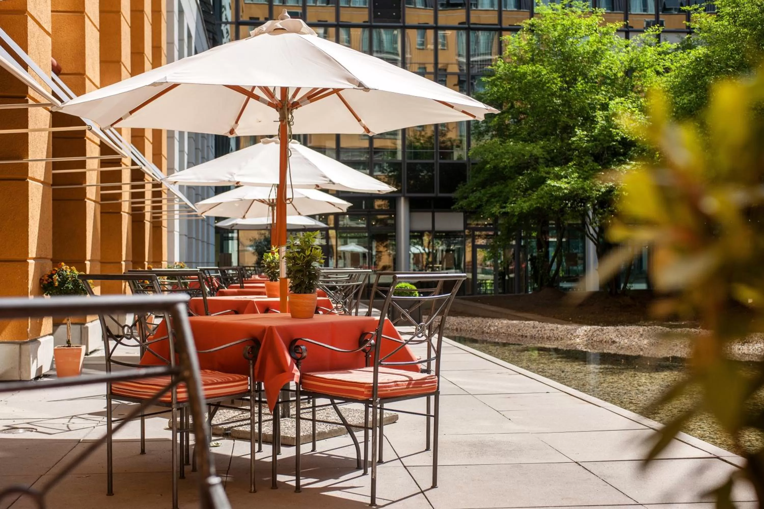 Patio in Hotel Elbflorenz Dresden