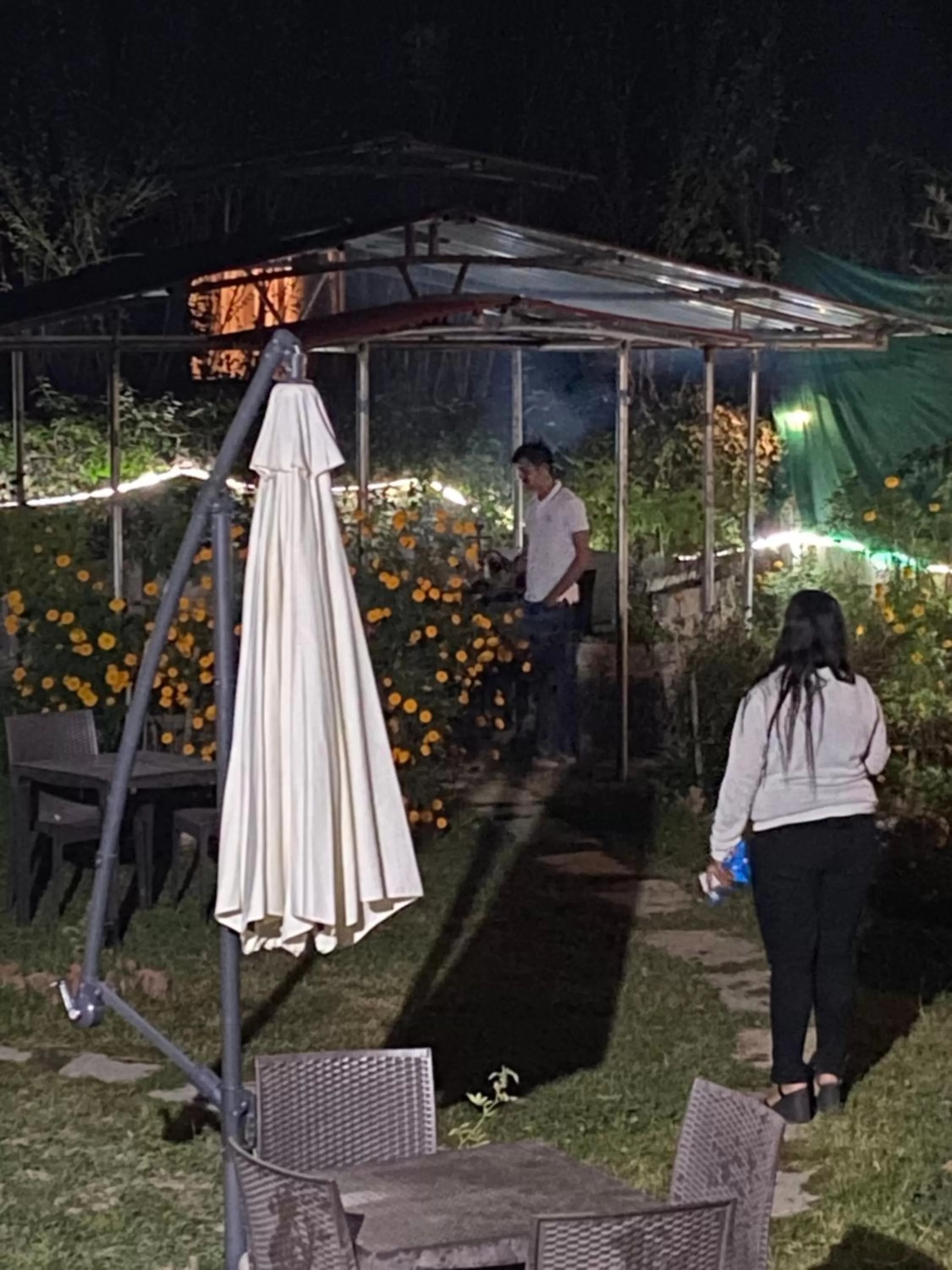 Hotel Ambika Resort Manali