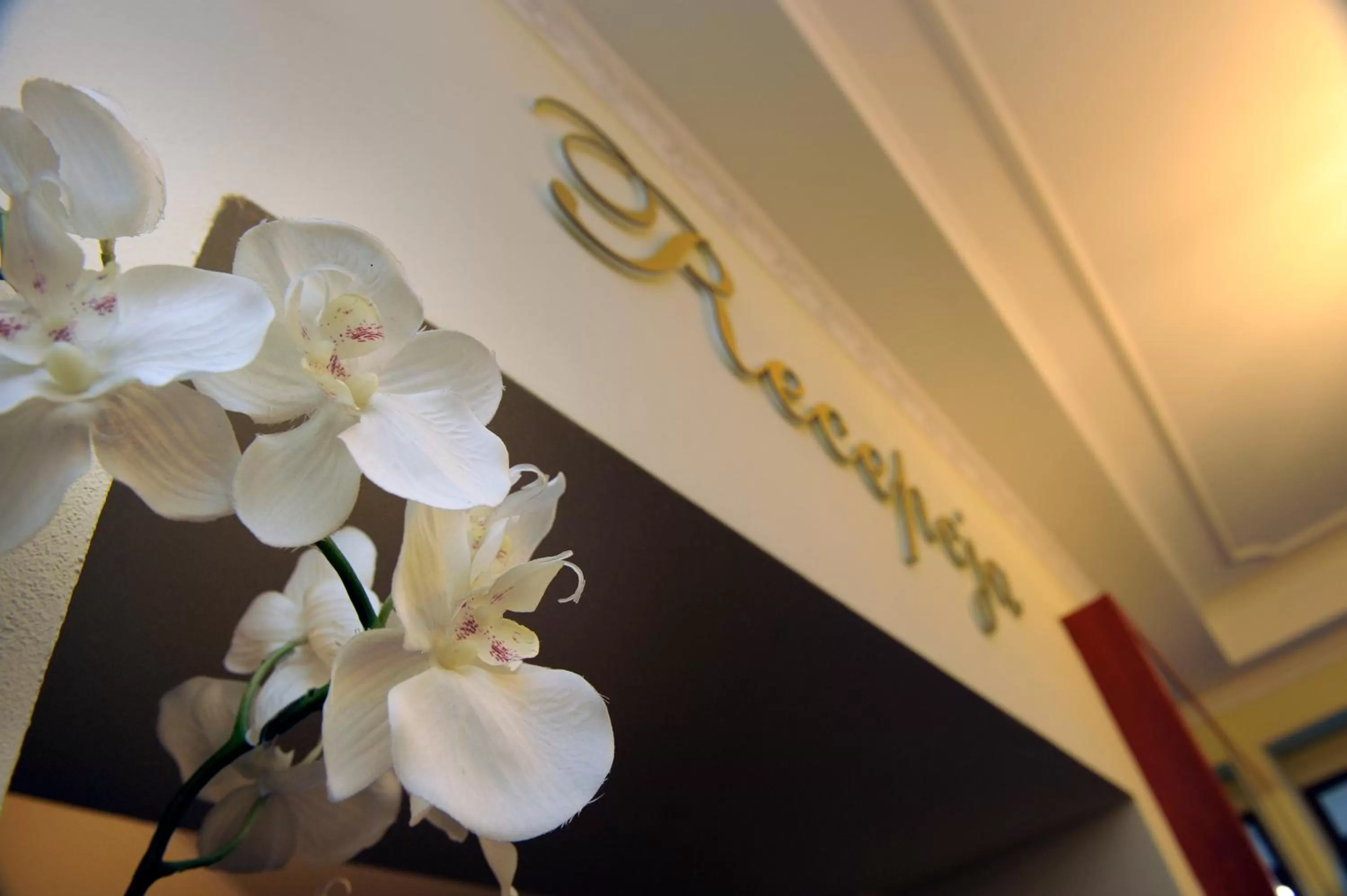 Property logo or sign in Hotel Imperial