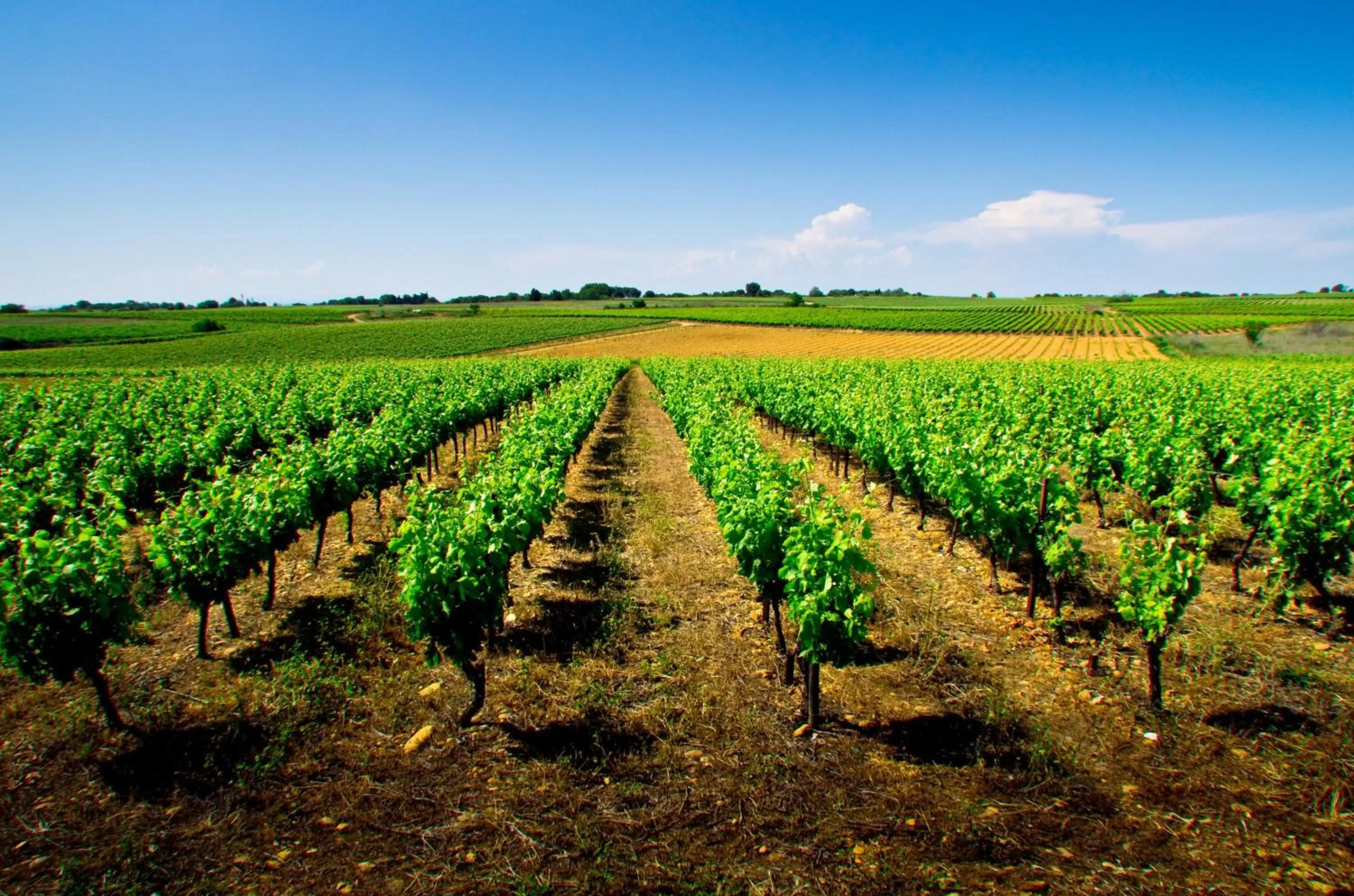 Nearby landmark in Holiday Inn Express Montpellier - Odysseum by IHG