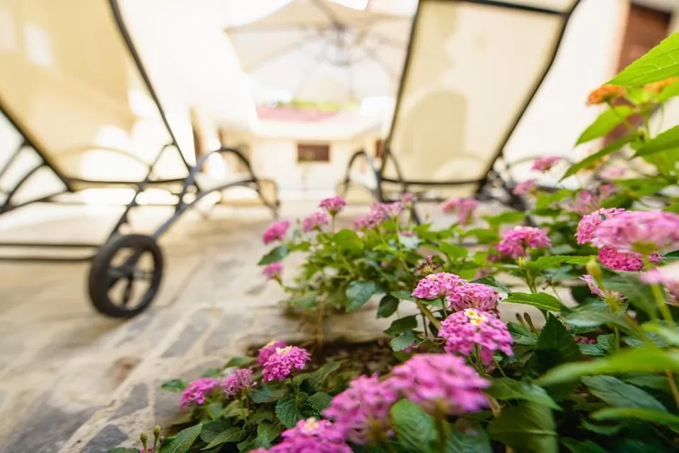 Other in Hotel Flor De Sarta