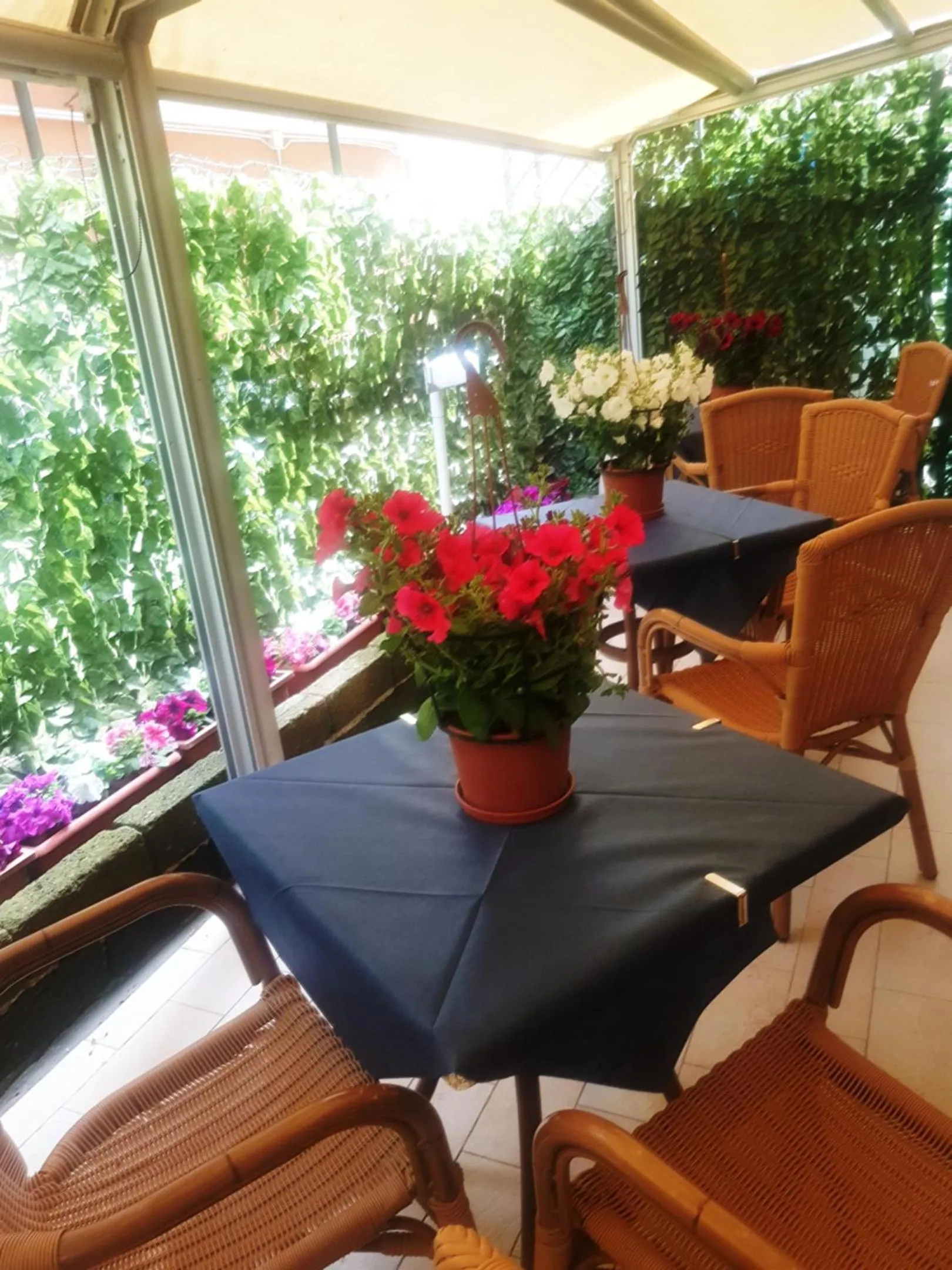 Garden in Hotel St Pierre