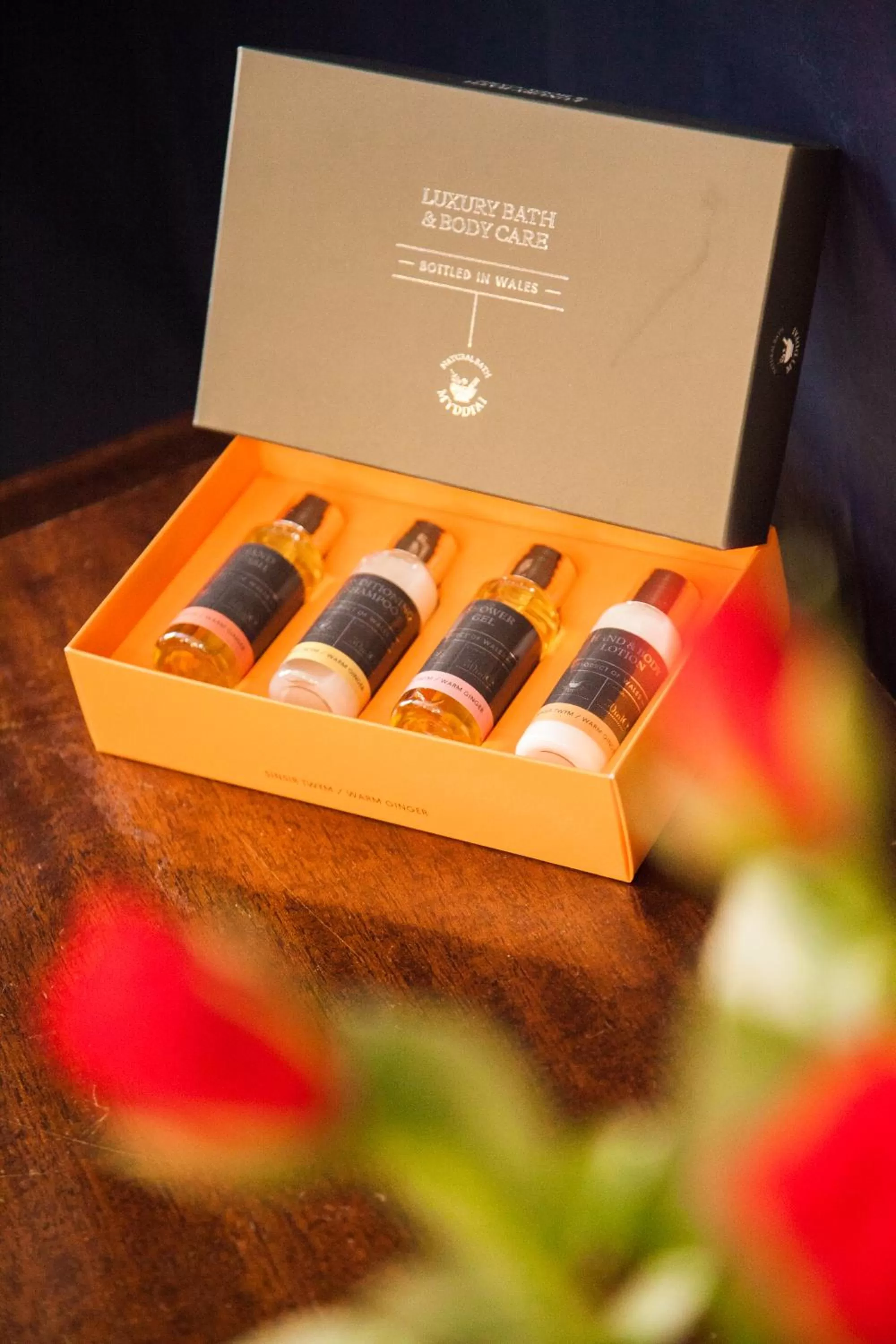 Other in Plas Tan-Yr-Allt Historic Country House B&B