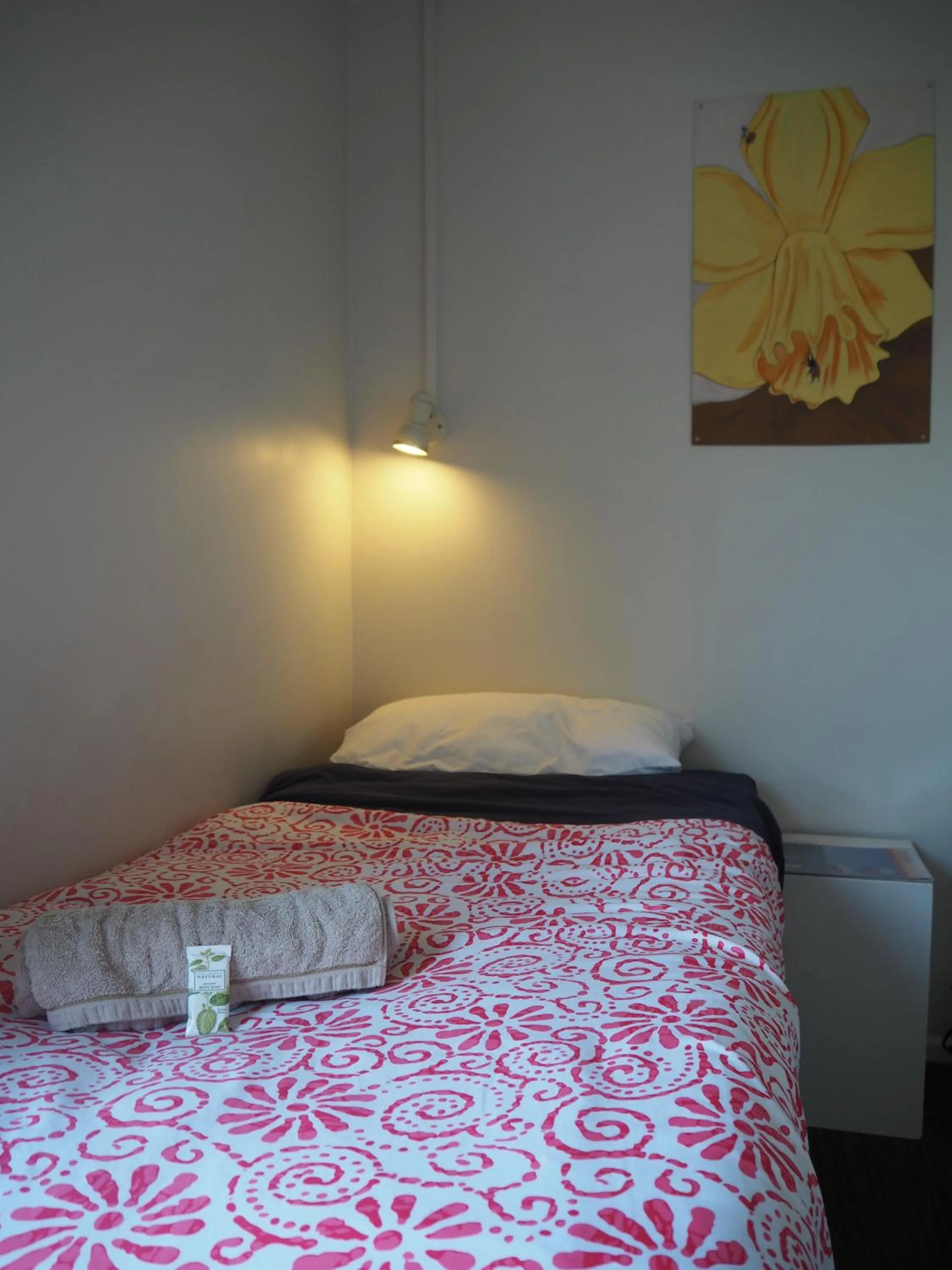 Bed in Tasman Bay Backpackers