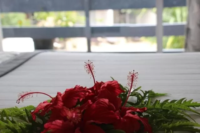 Capricorn International Hotel