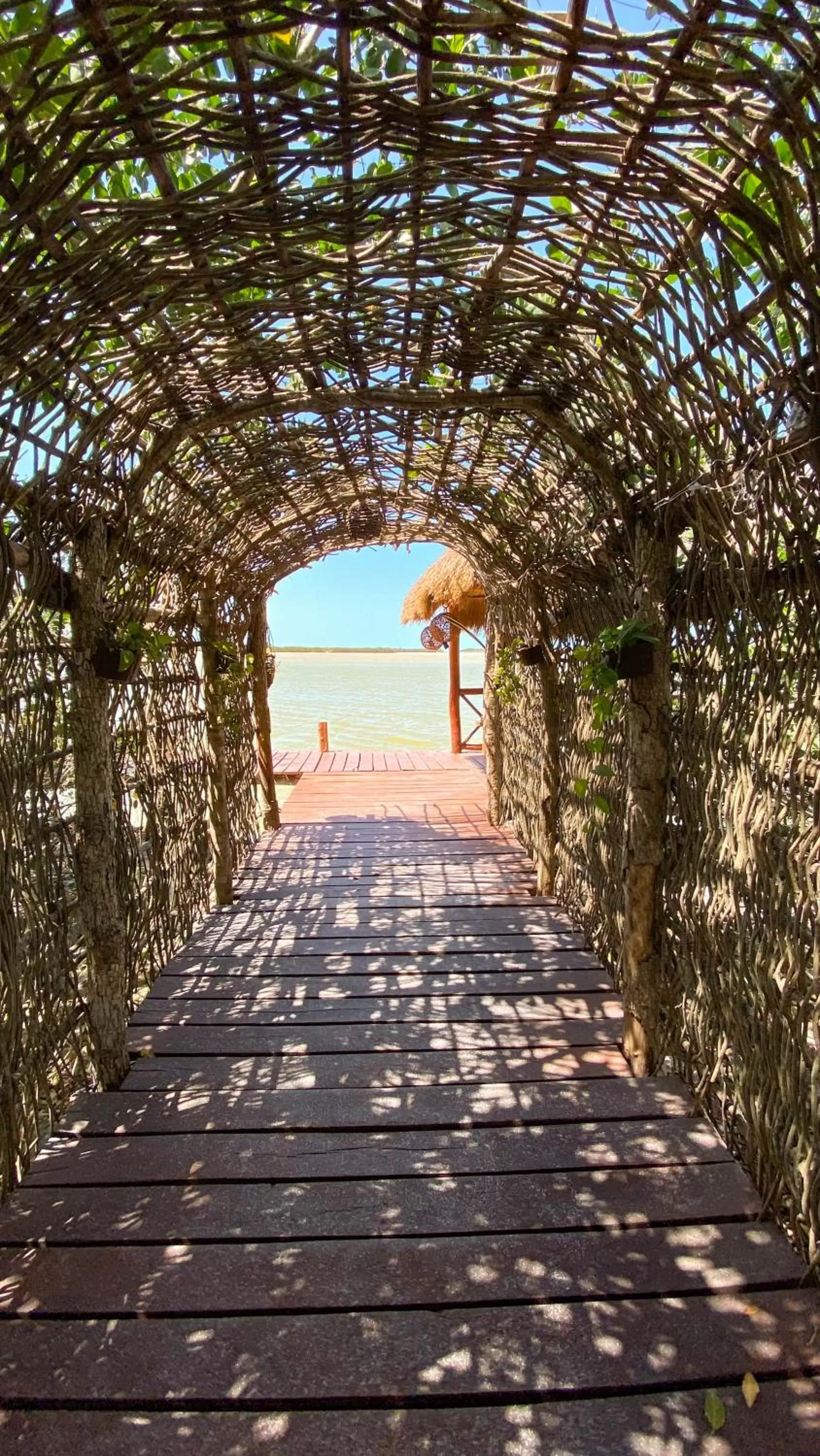 Property building in Hotel Rio Lagartos