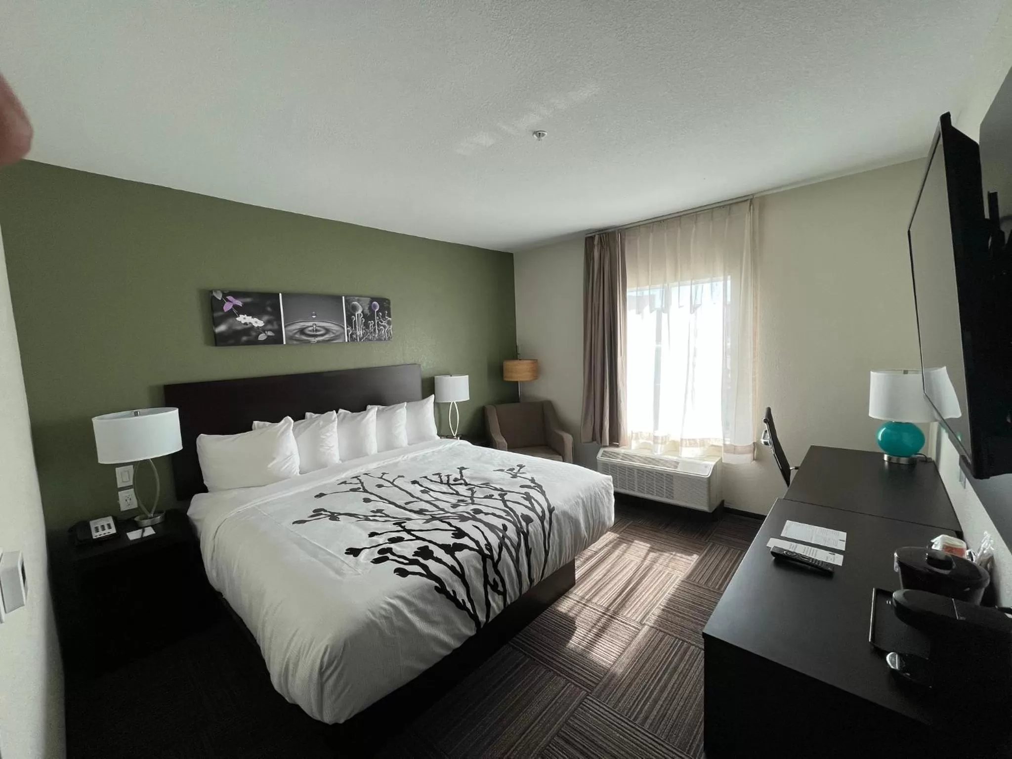 Bed in Sleep Inn Dallas Northwest - Irving