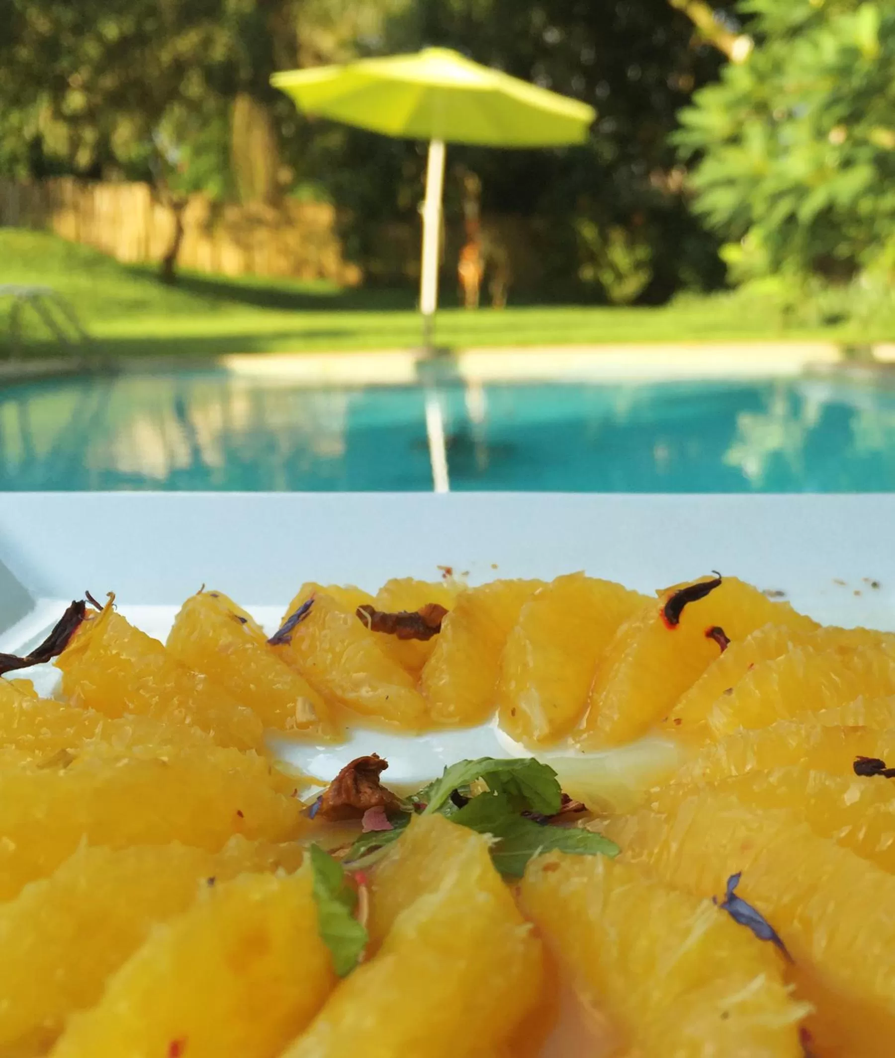 Restaurant/places to eat, Swimming Pool in Boutique Hotel Particulier