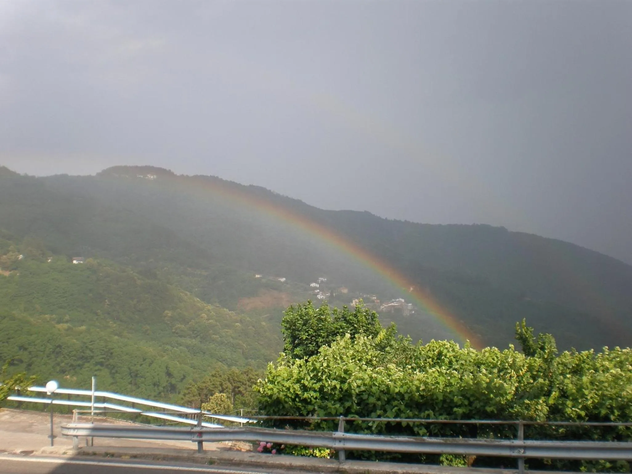 View (from property/room) in Amelia Hotel