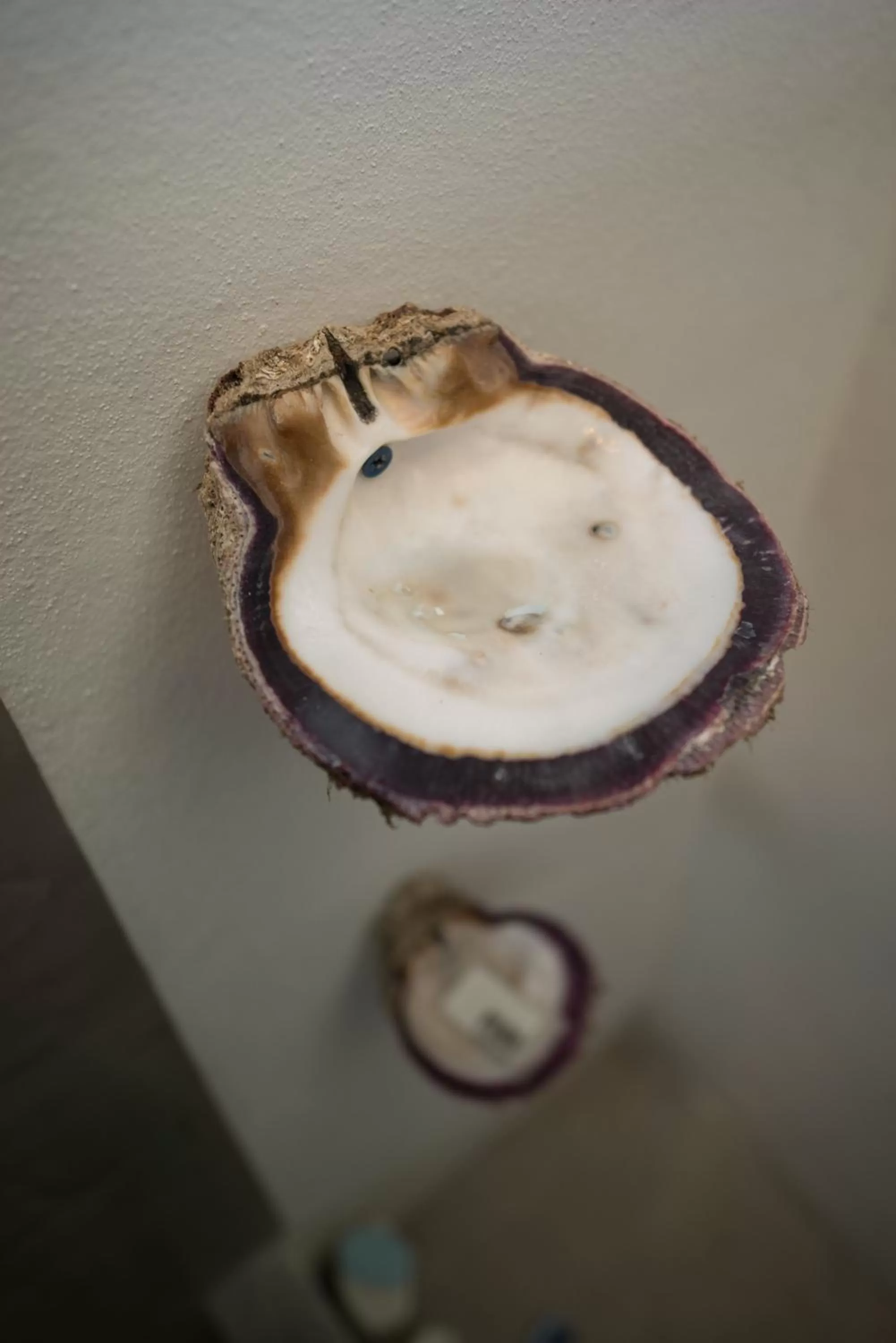 Decorative detail in Tamarindo Sunshine