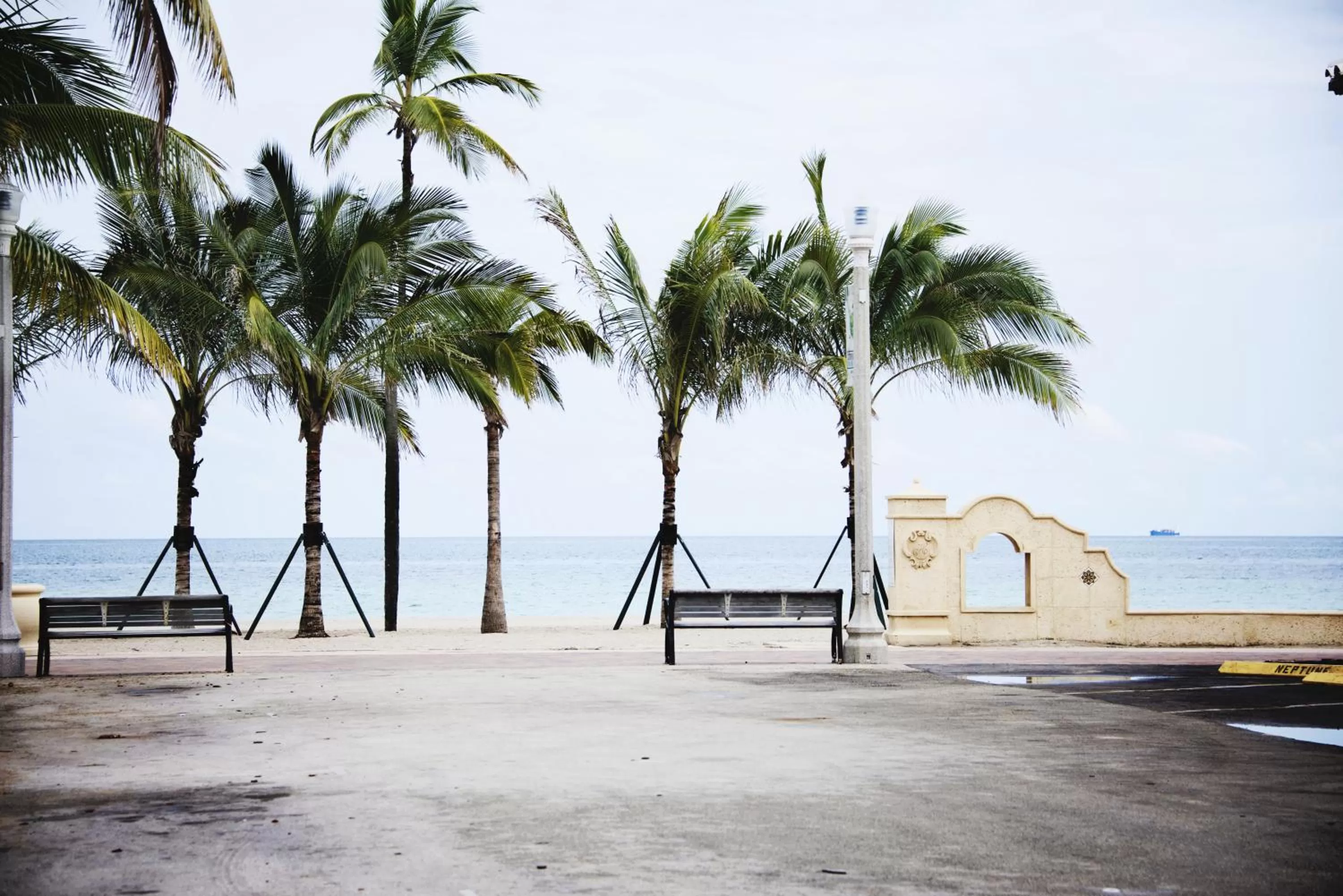 View (from property/room) in The Dolphin Hollywood