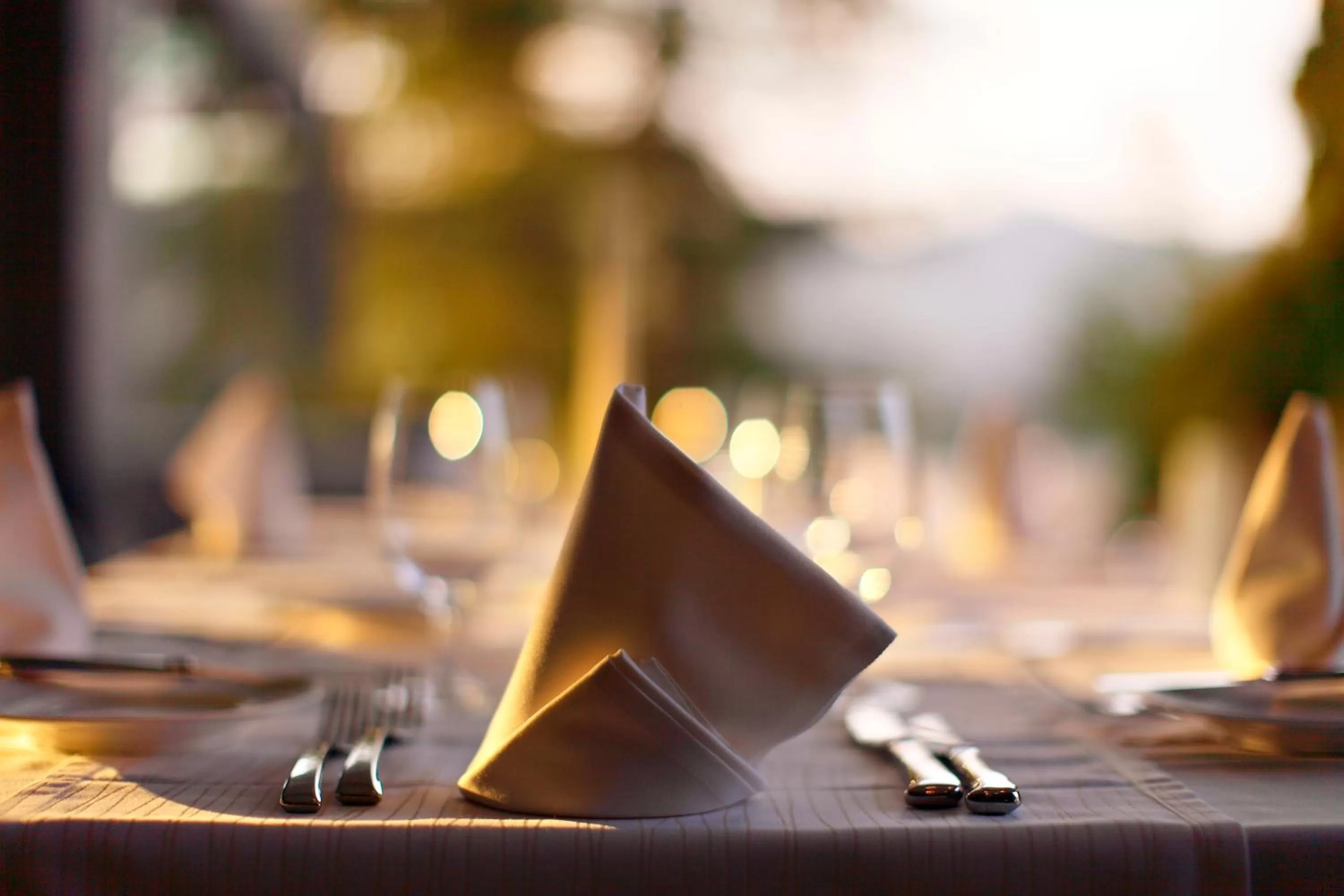 Restaurant/places to eat in Rikli Balance Hotel – Sava Hotels & Resorts