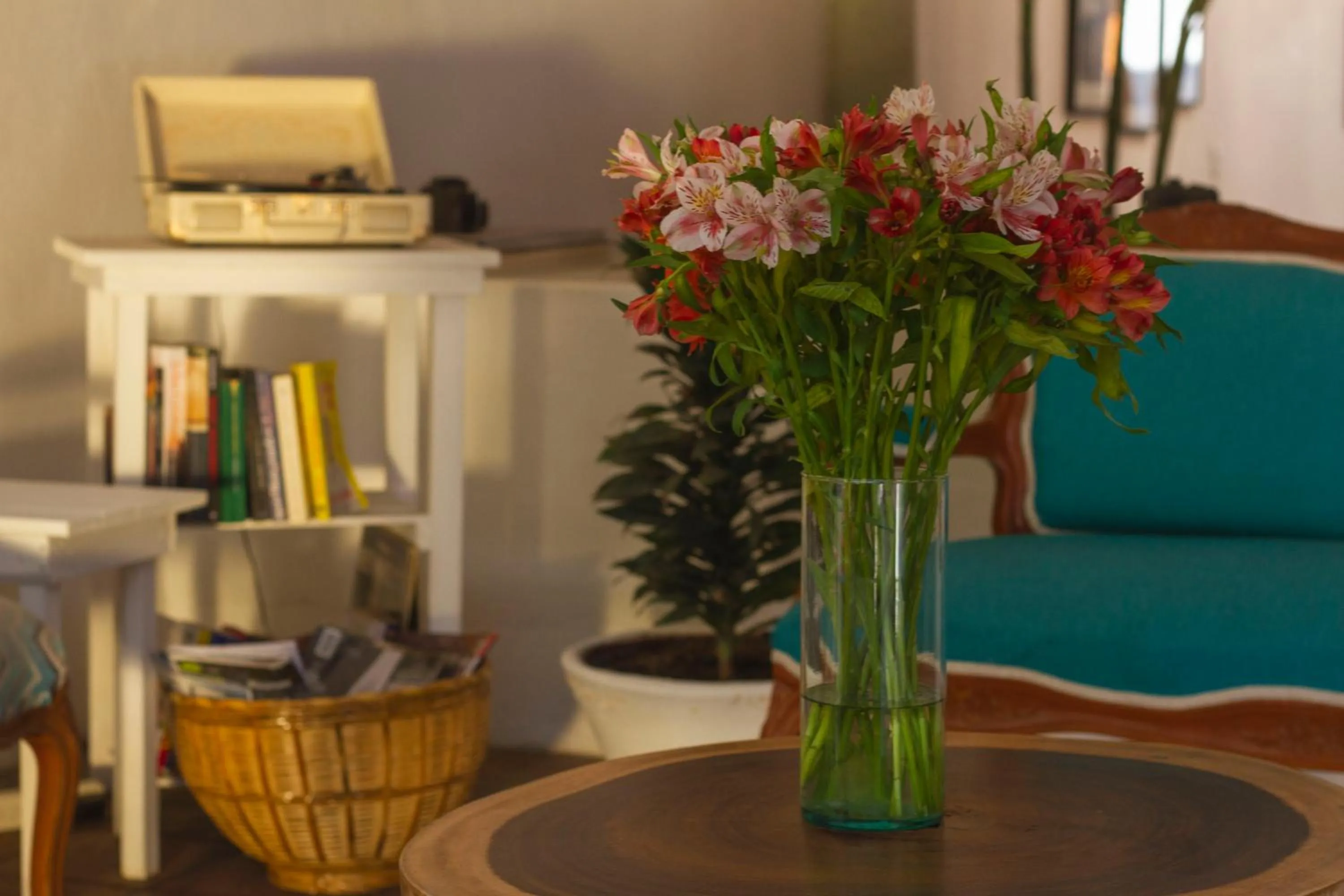 Lobby or reception in NaNa Vida Hotel Oaxaca