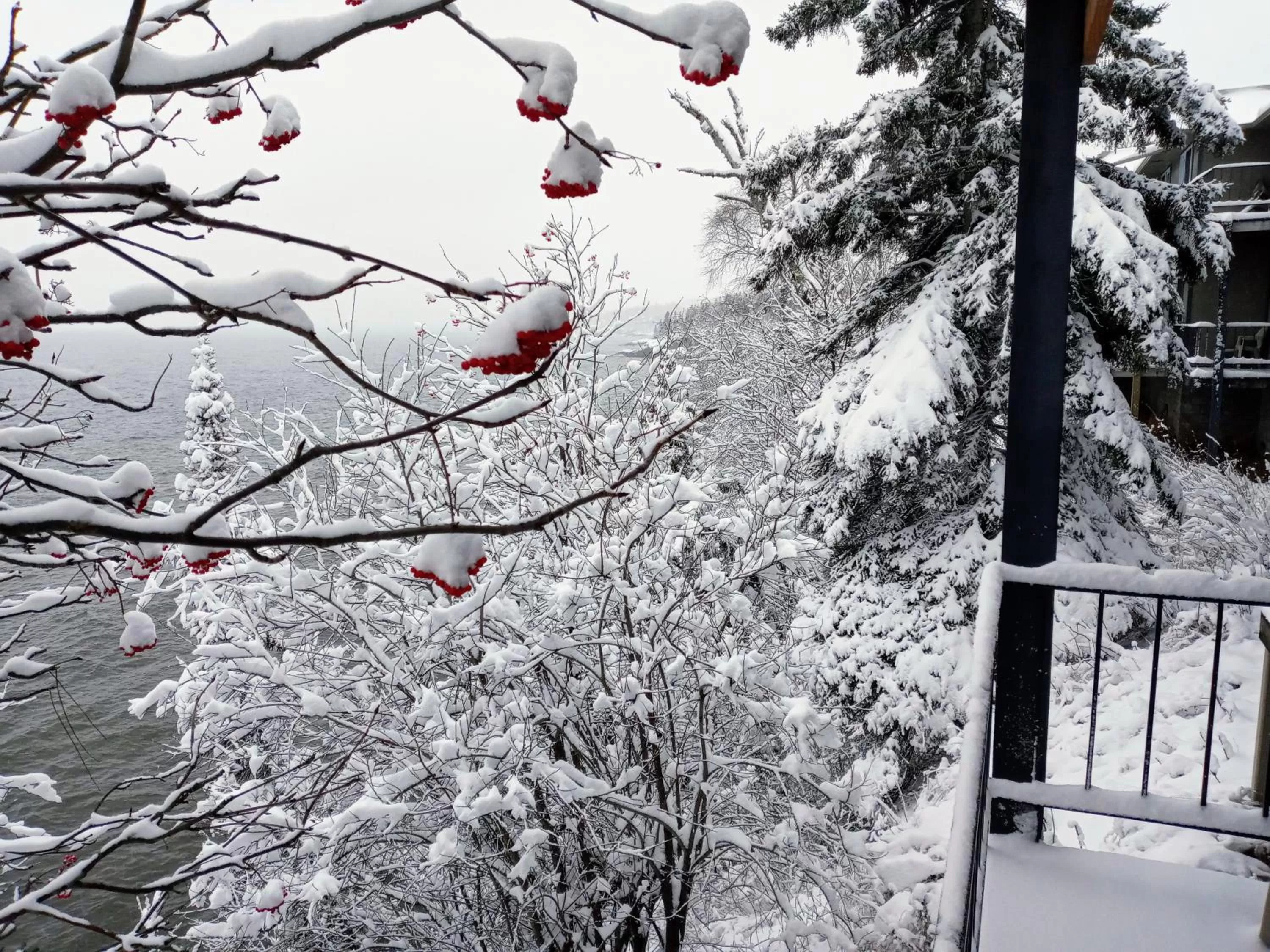 Natural landscape, Winter in Cliff Dweller on Lake Superior