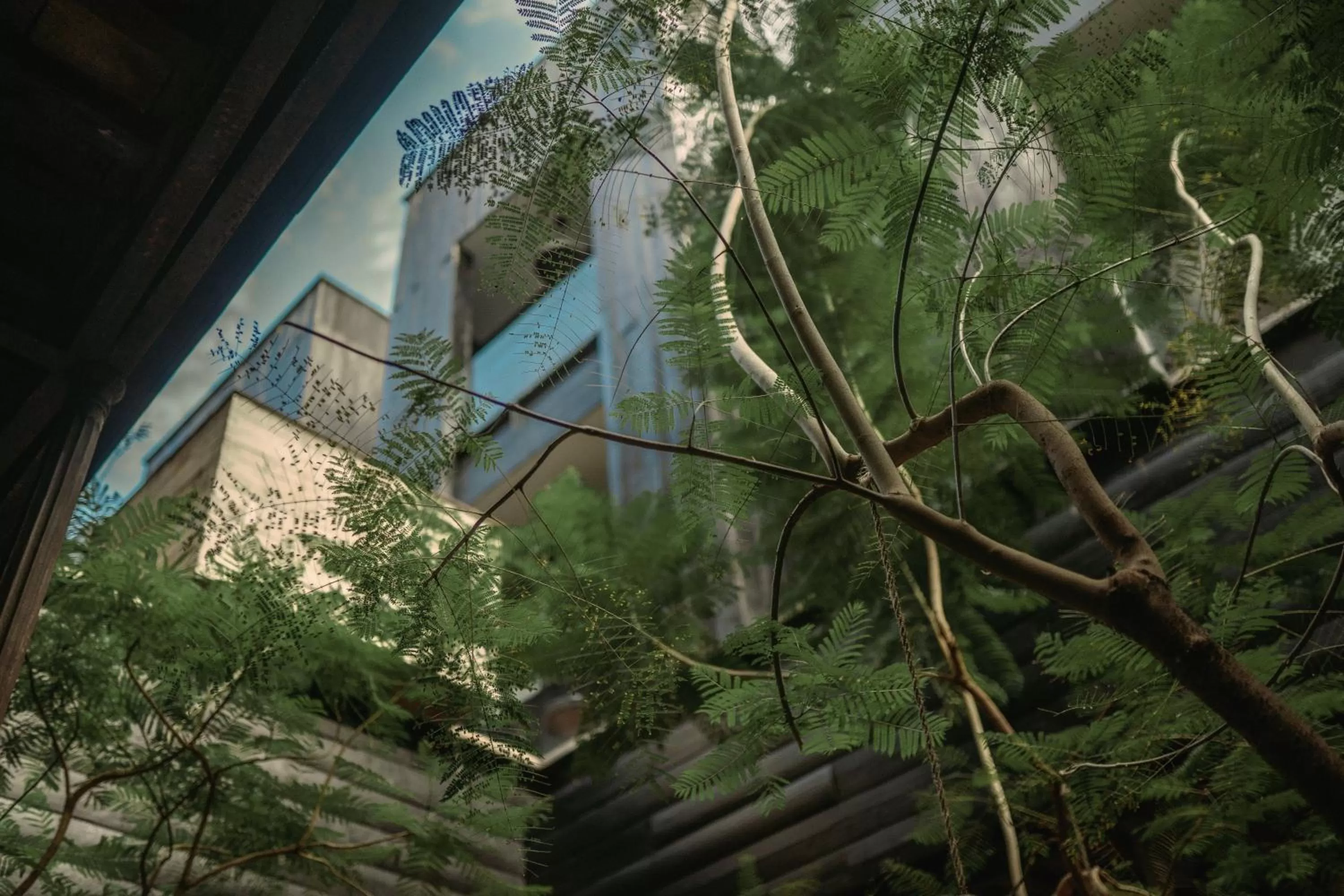 View (from property/room) in Elena de Cobre, Leon, a Member of Design Hotels