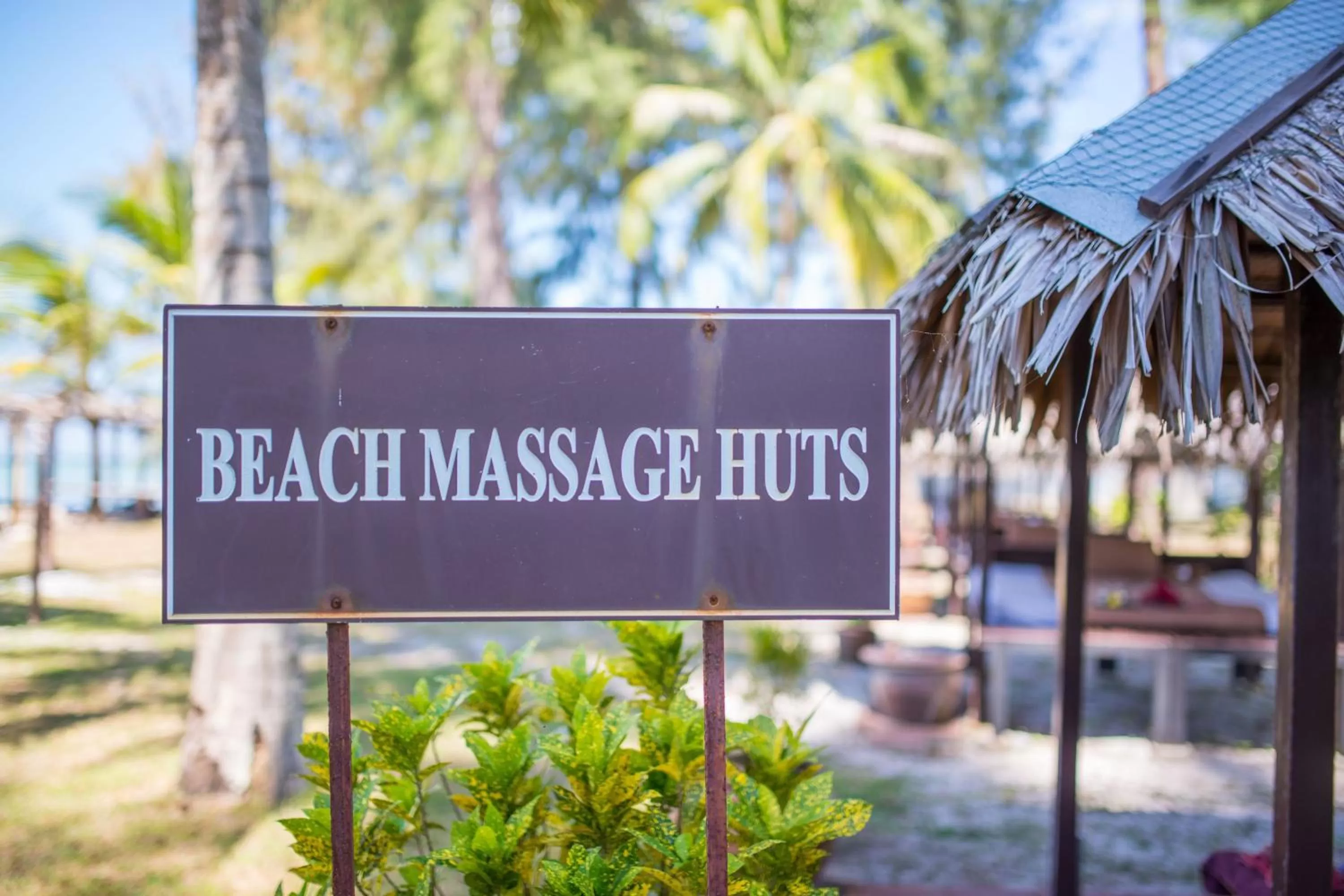 Massage in ThaiLife Wellness & Meditation Resort- SHA Plus