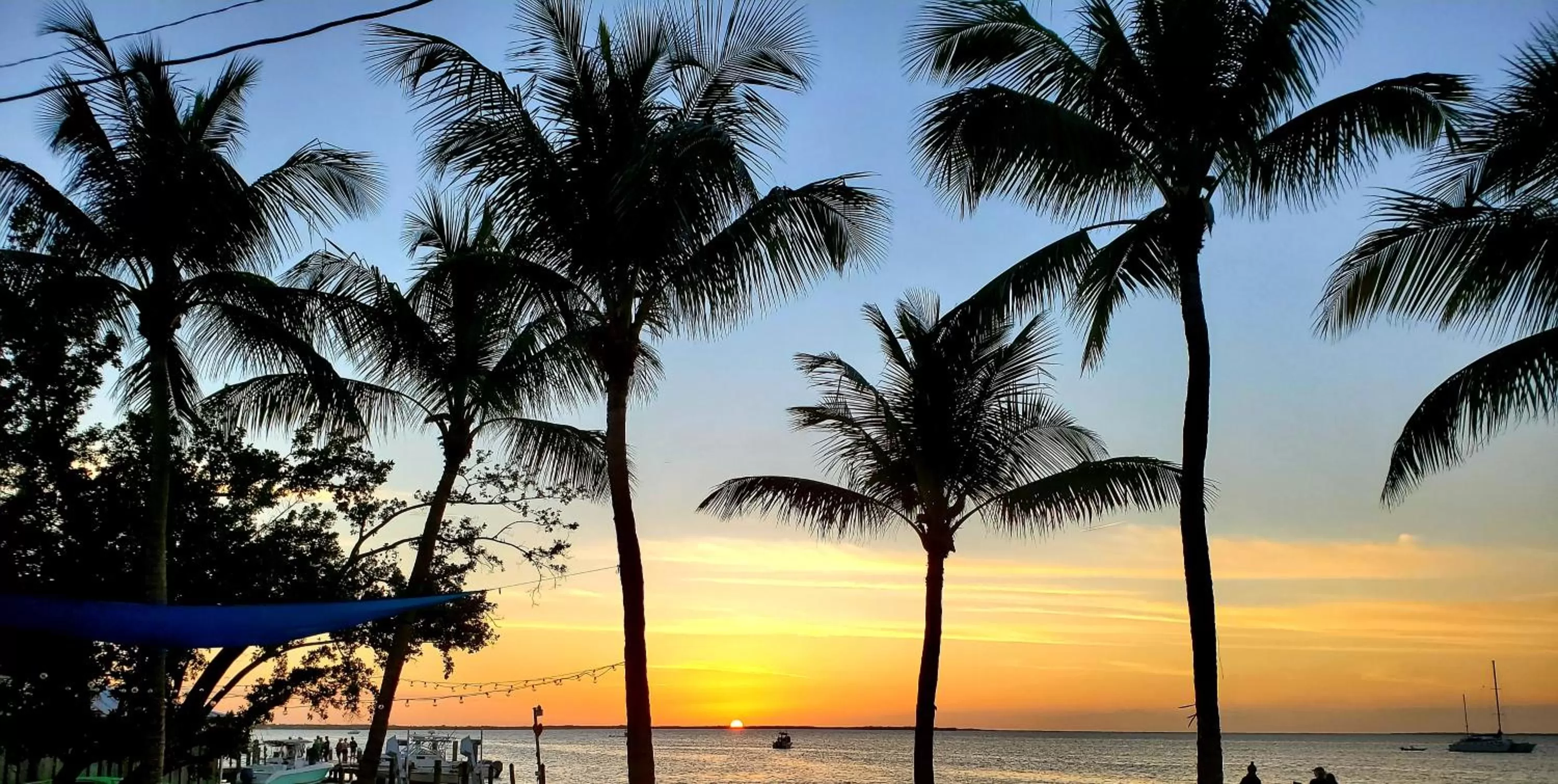 Beach in Bayside Inn Key Largo