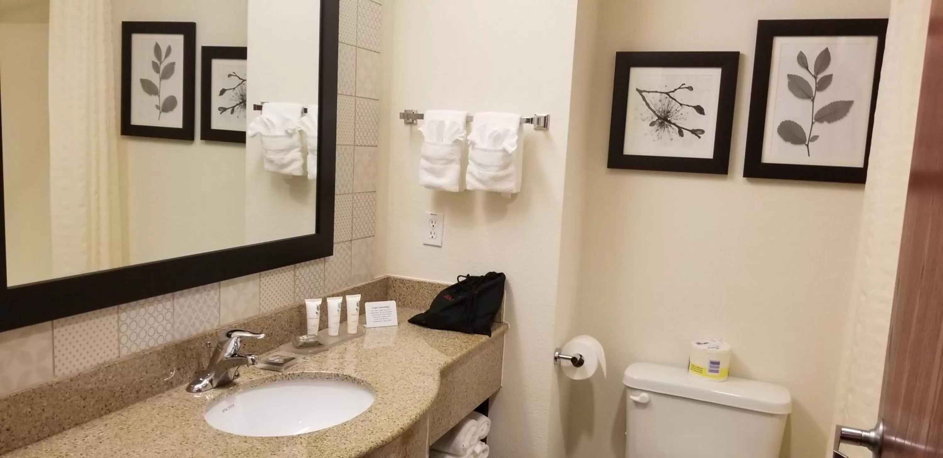 Standard Room with Two Double Beds - Non-Smoking in Country Inn & Suites by Radisson, Canton, GA