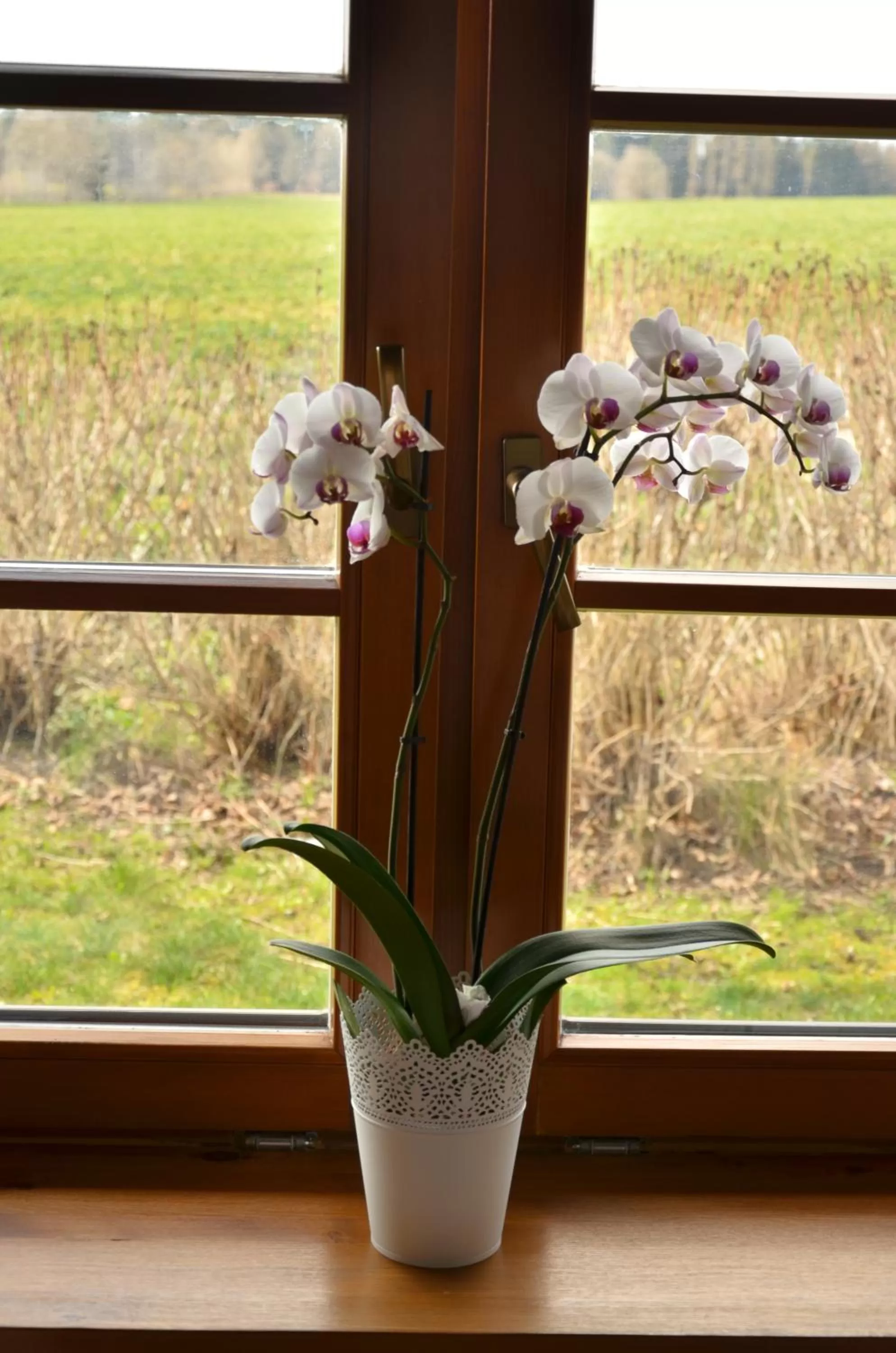 Hotel Na Statku Mirošov