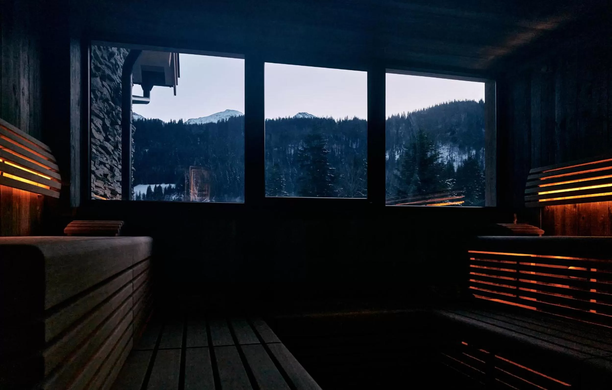 Sauna, Mountain View in Home suite home