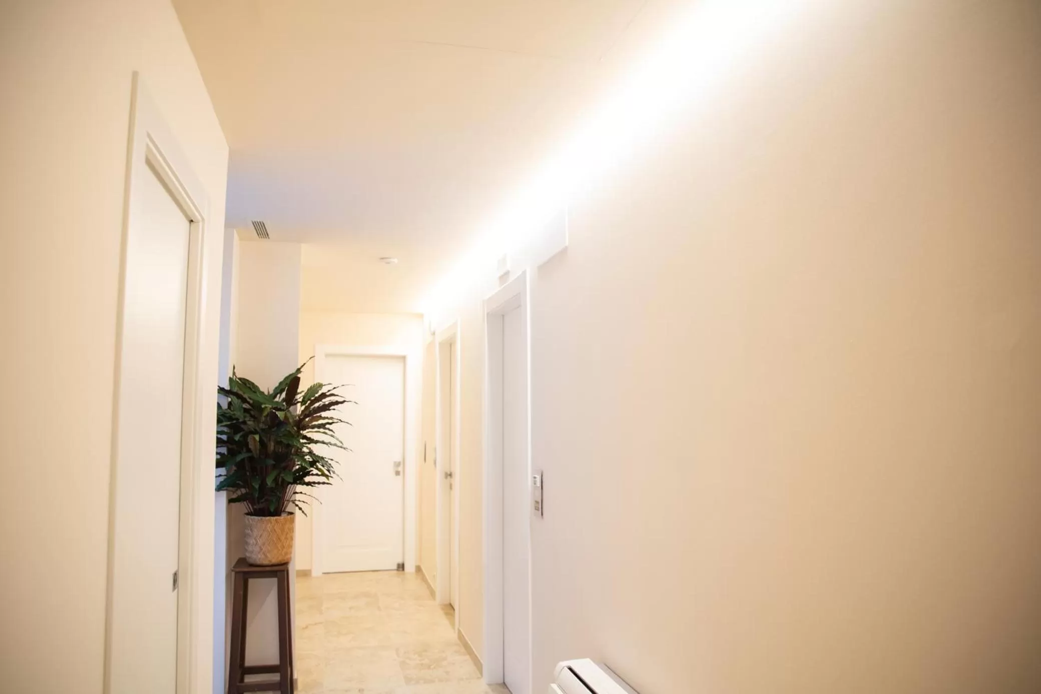 Decorative detail in Migliori Olive Ascolane beds