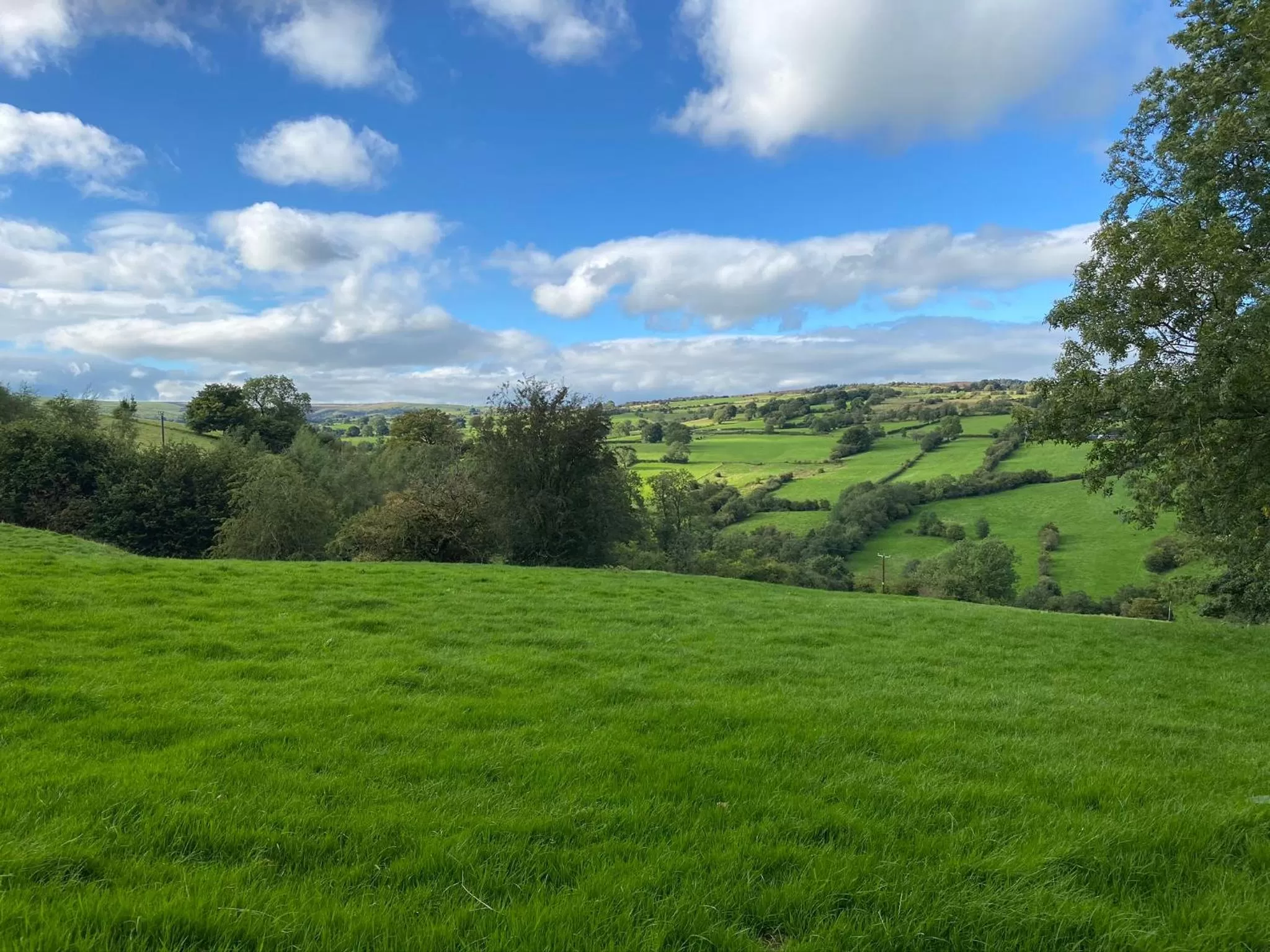Neighbourhood in Black Lion Inn