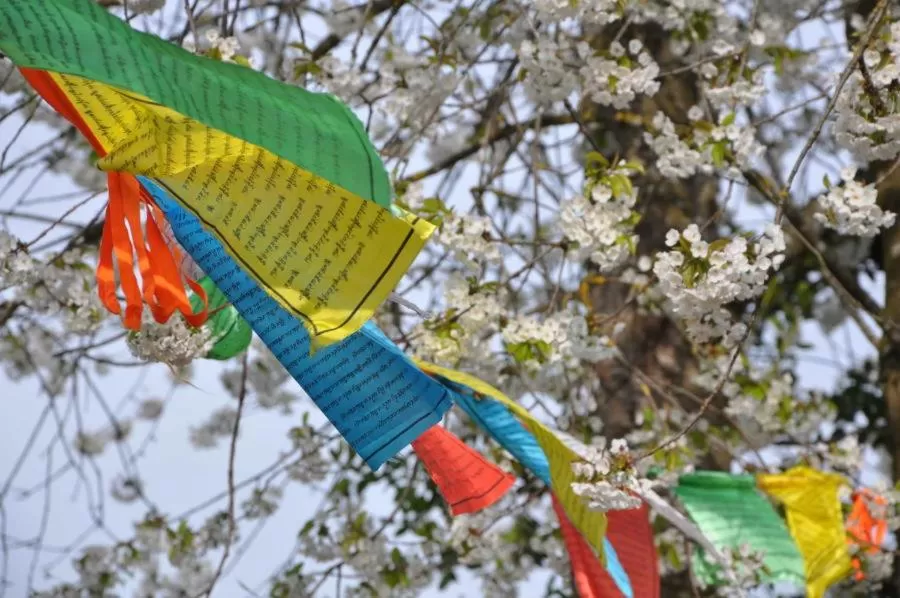 Bed and Breakfast Bavaria München