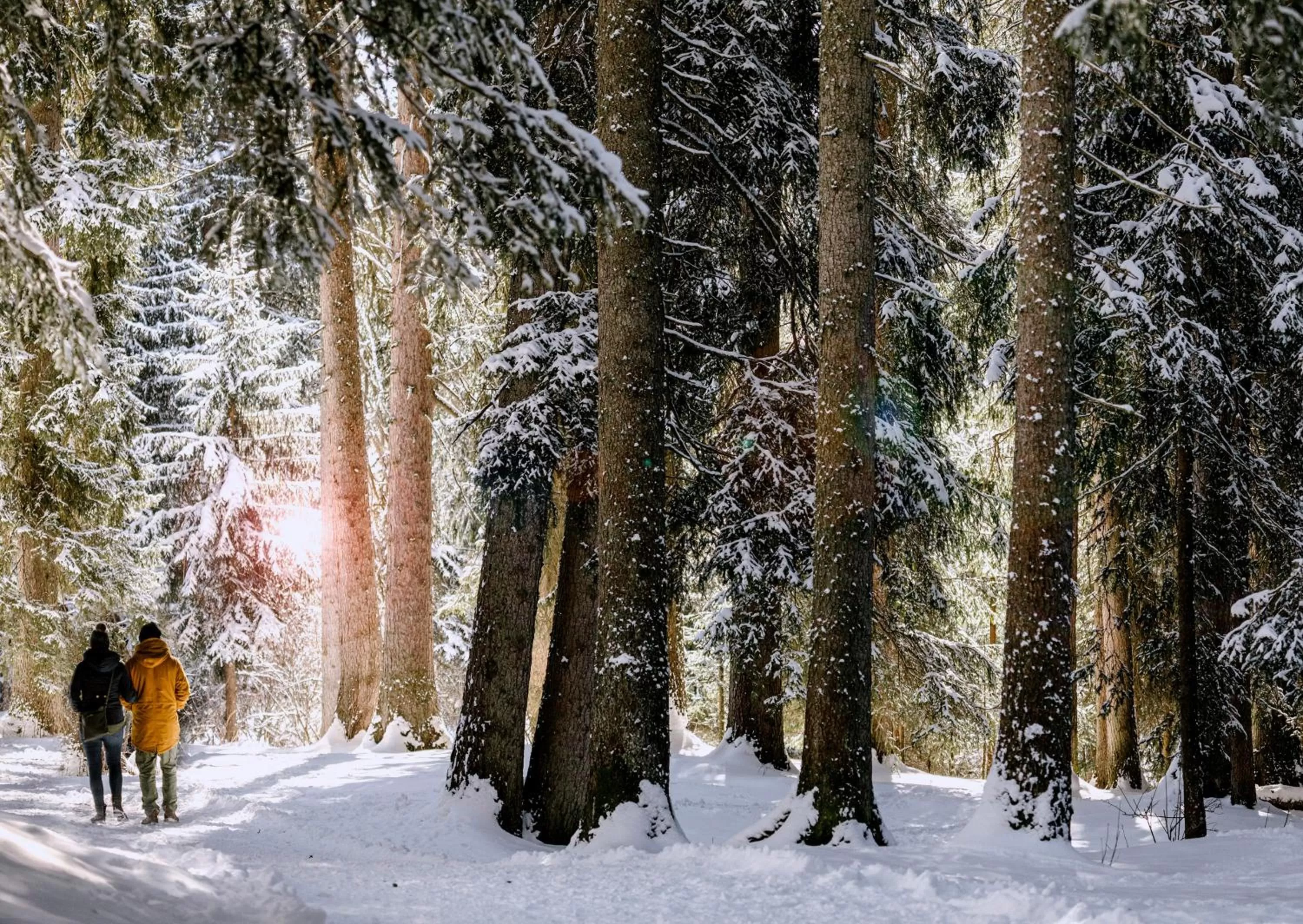 Natural landscape in Maiensässhotel Guarda Val