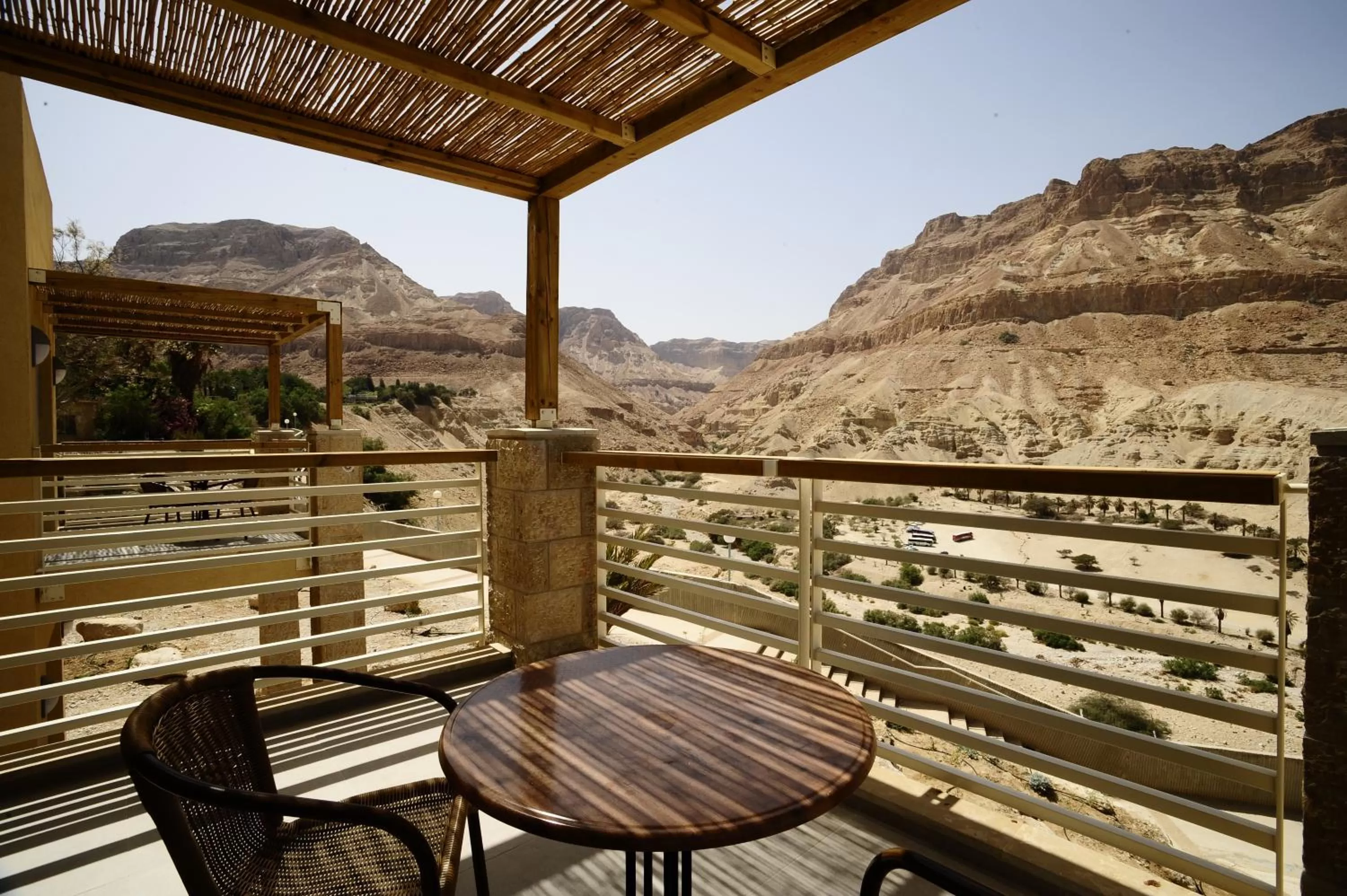 Balcony/Terrace in Ein Gedi Kibbutz Hotel