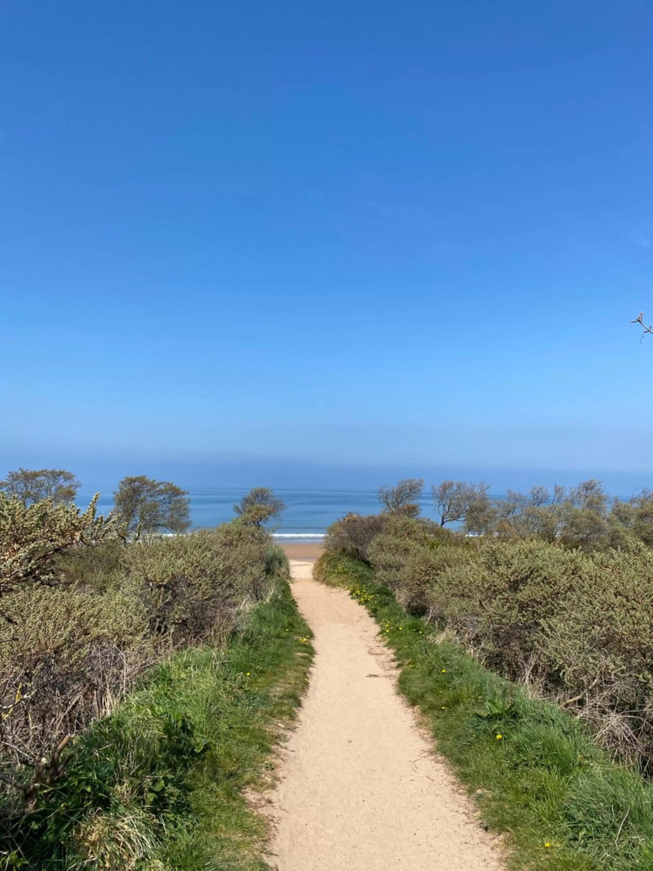 Nearby landmark in The Bonnie Badger