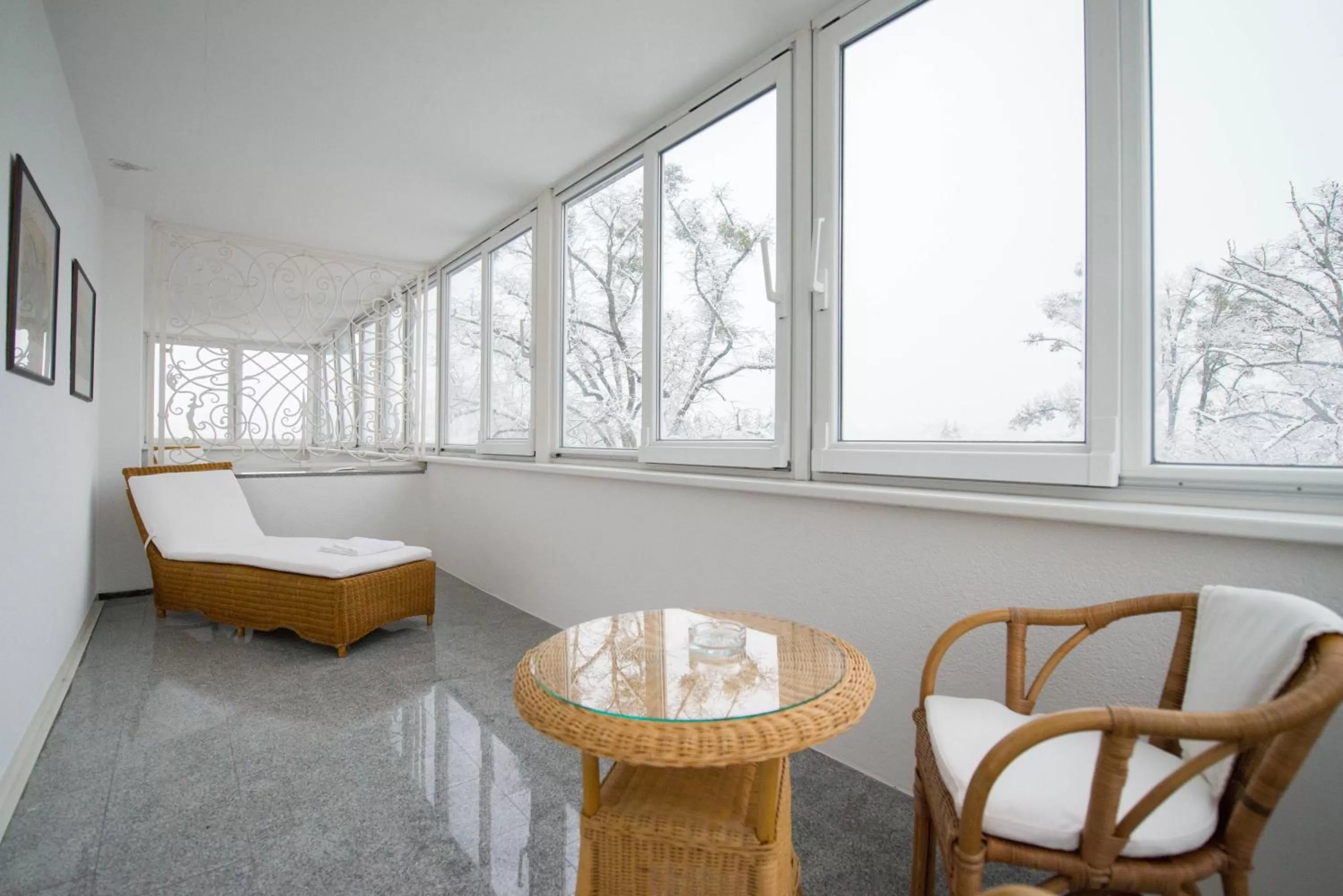 Balcony/Terrace in Parkhotel Styria