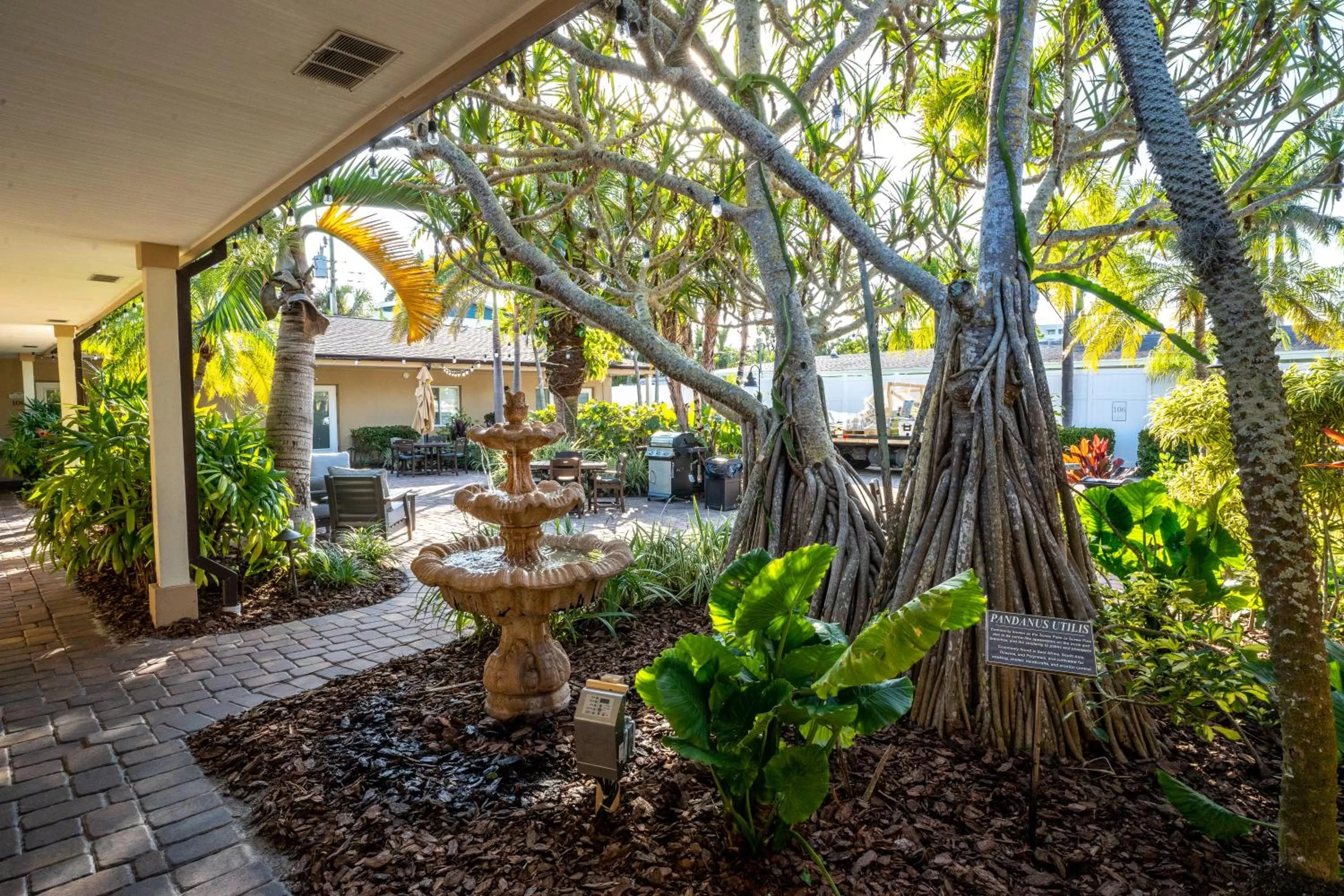 Garden view in The Capri at Siesta