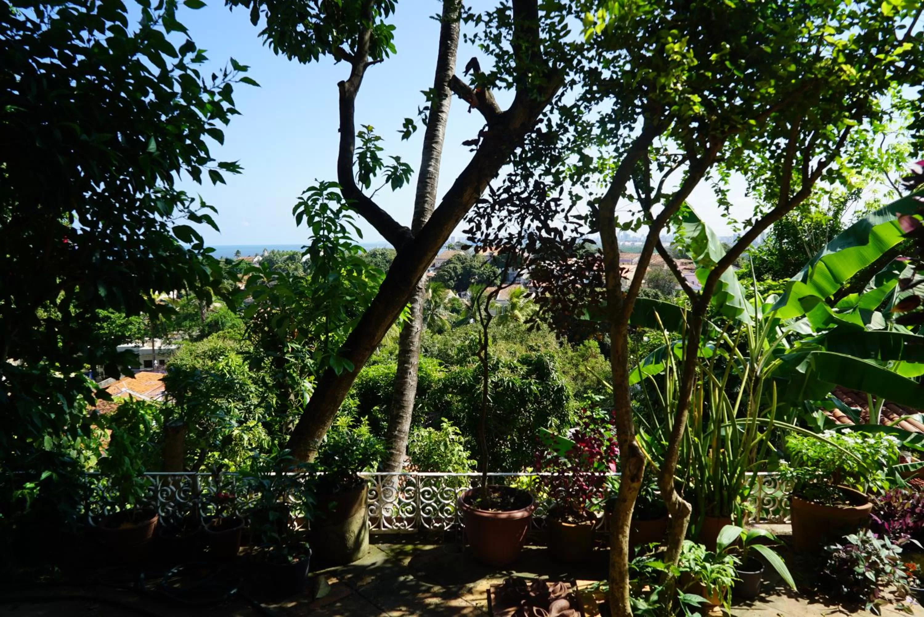 Patio, Garden in Irradiante