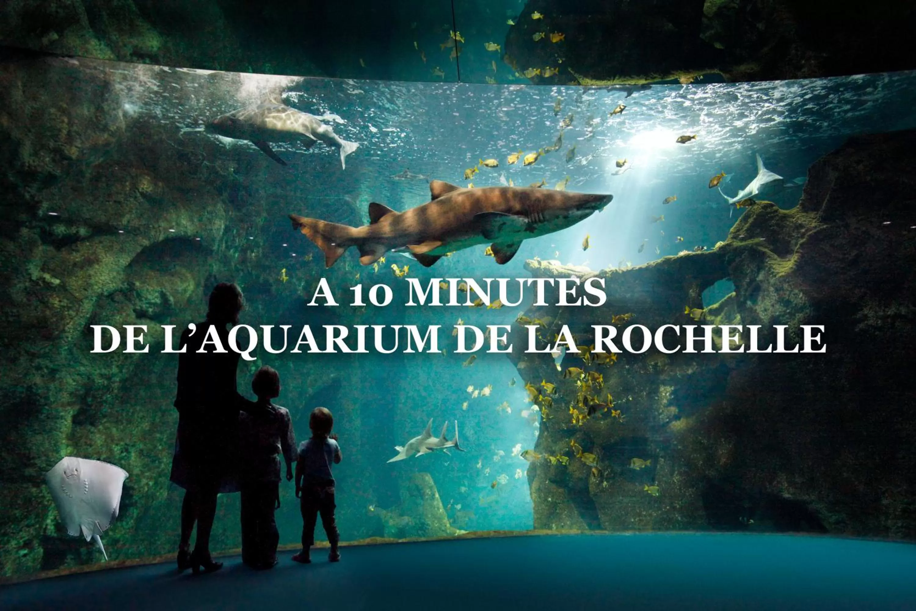 Nearby landmark in Hotel Inn Design La Rochelle