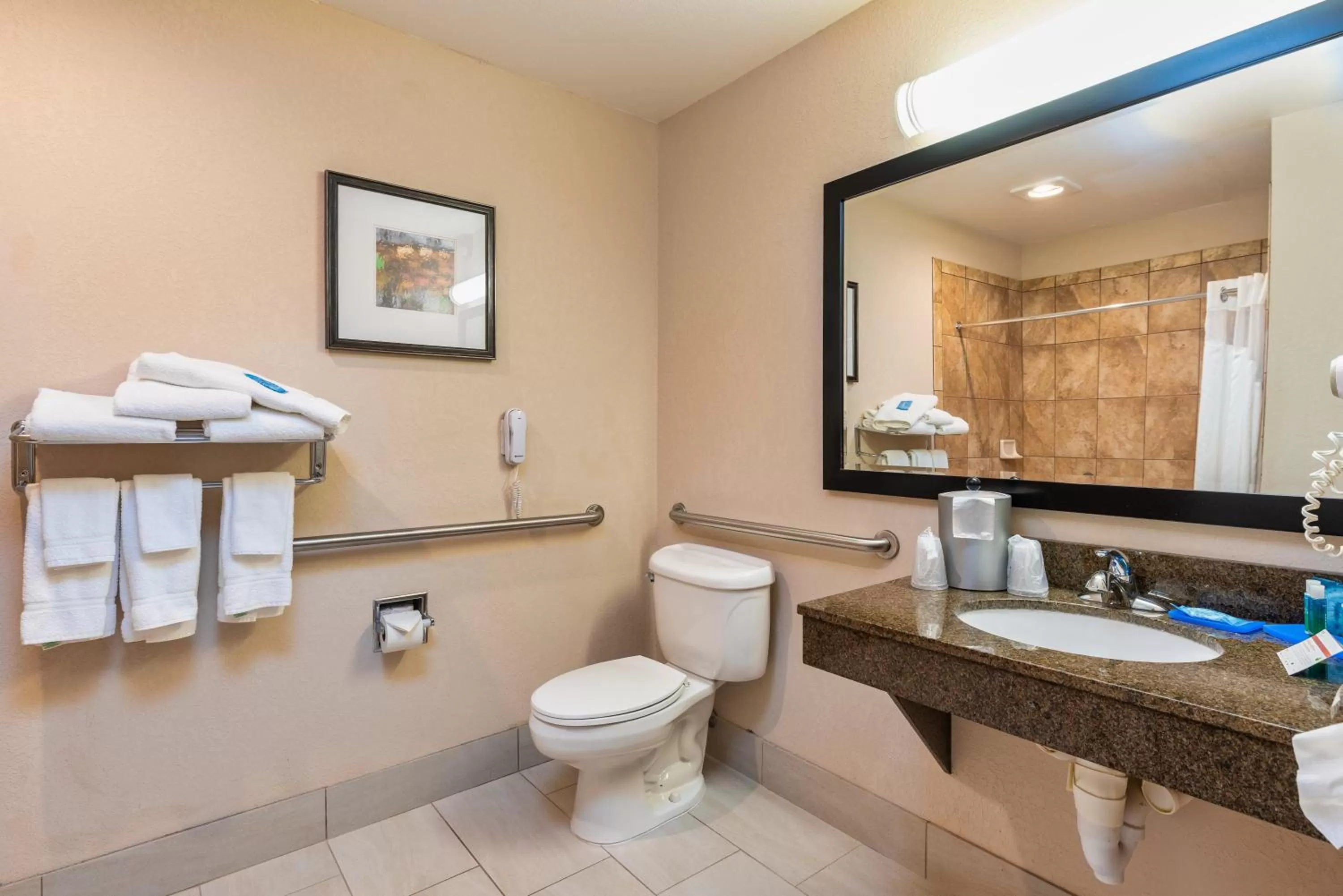 Bathroom in Country Inn & Suites by Radisson, South Haven, MI