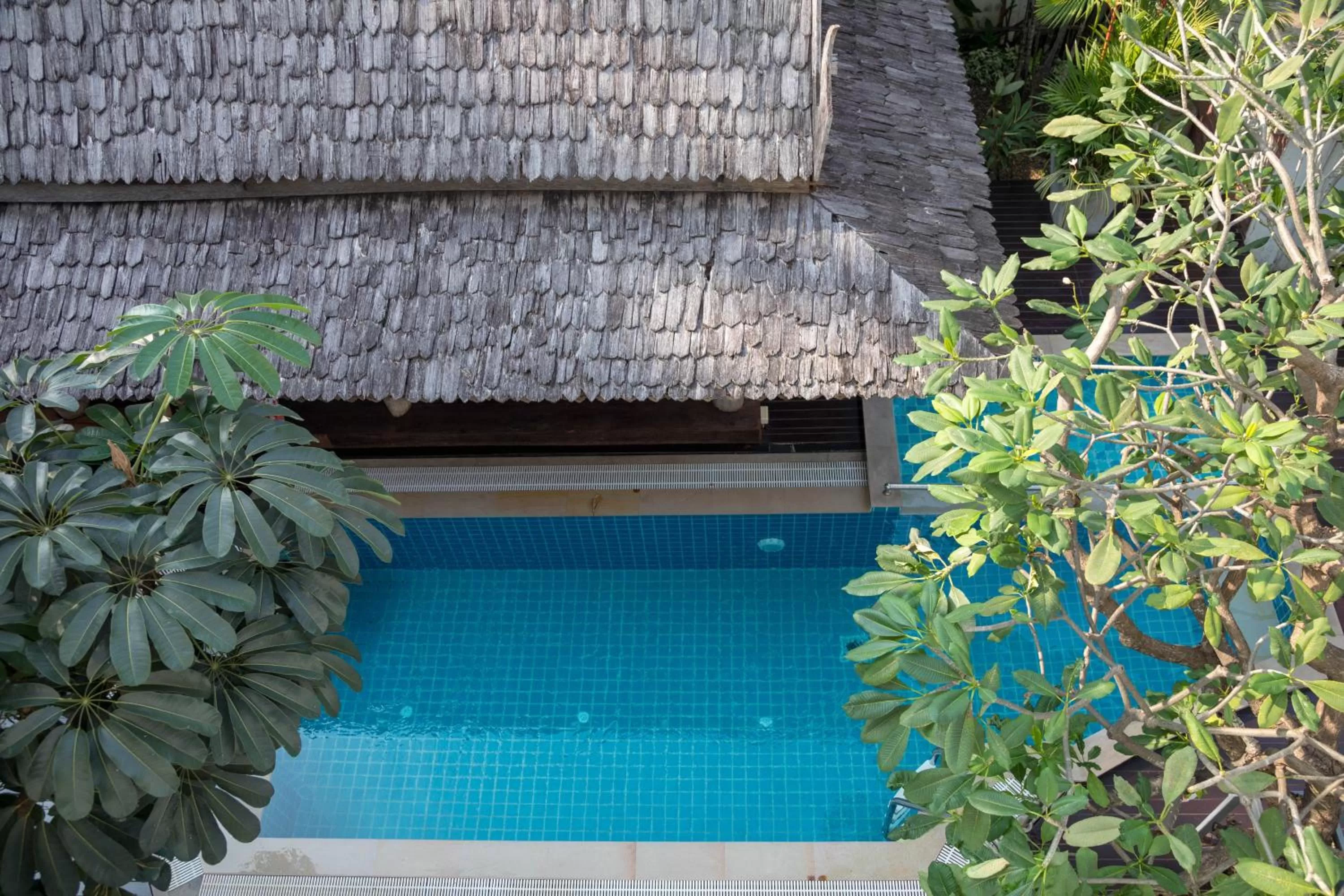 Swimming pool in Charlie House Pin Klao