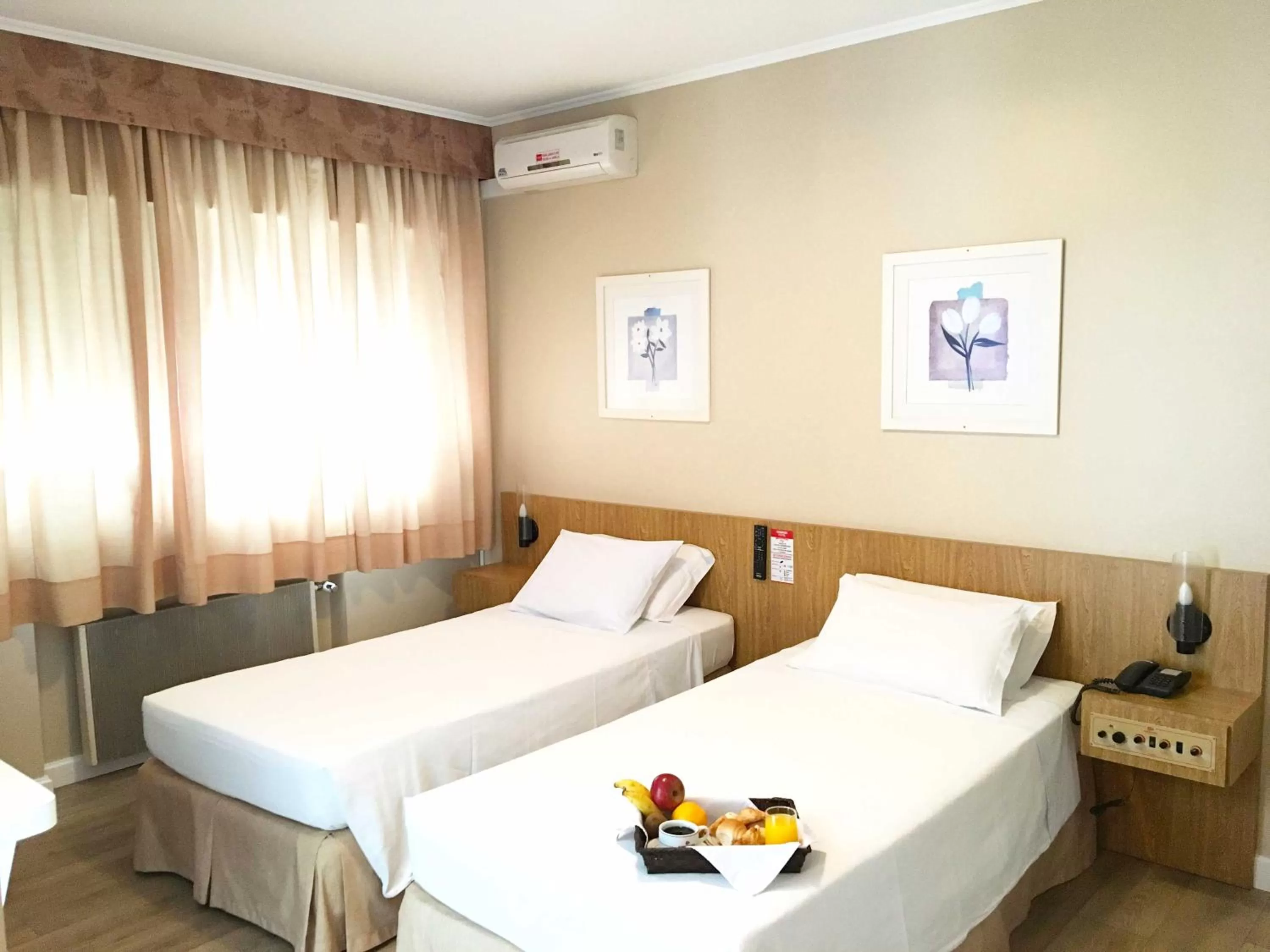 Pets, Bed in Cosmos Hotel