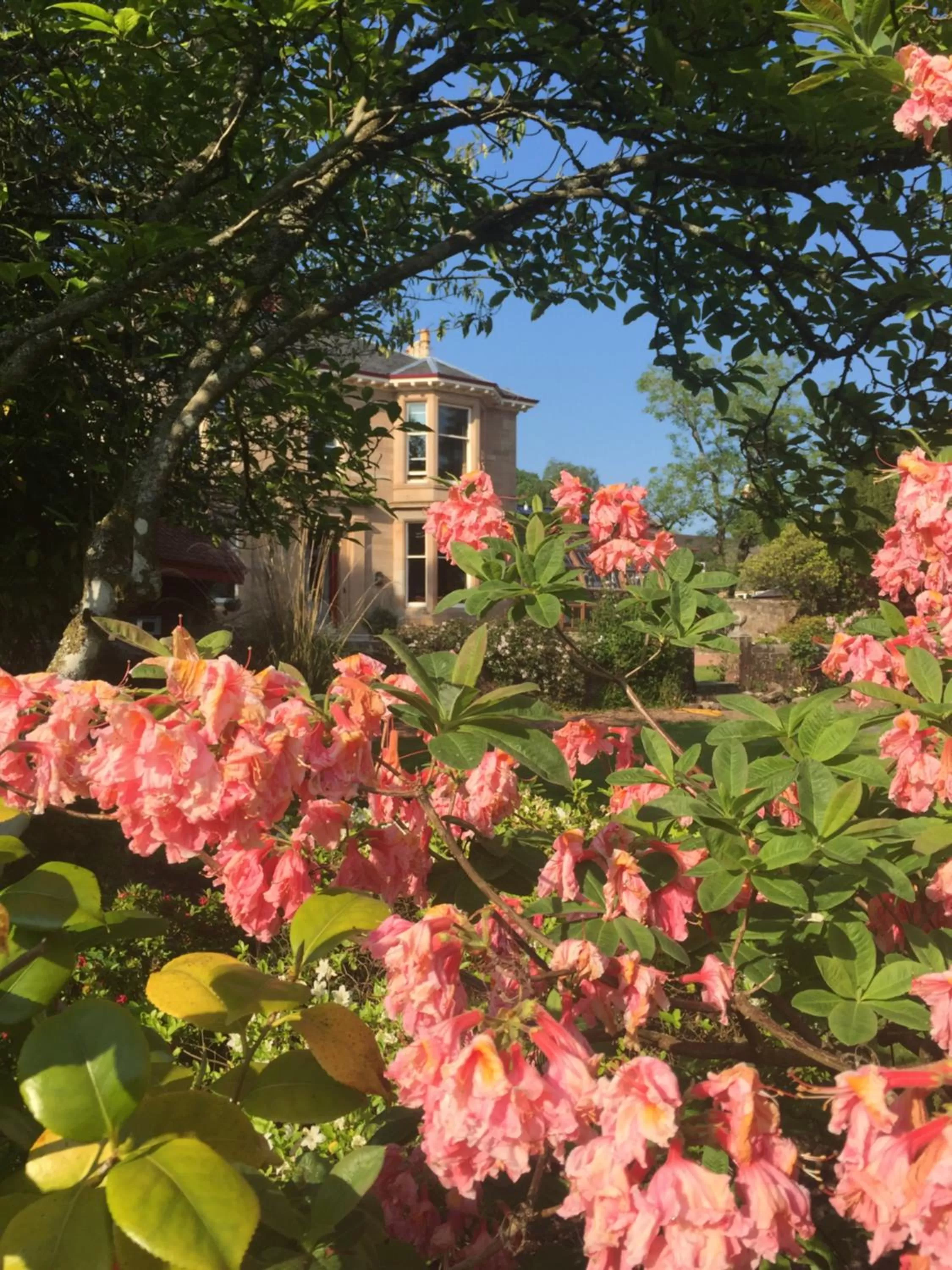 Property building in Moorlands