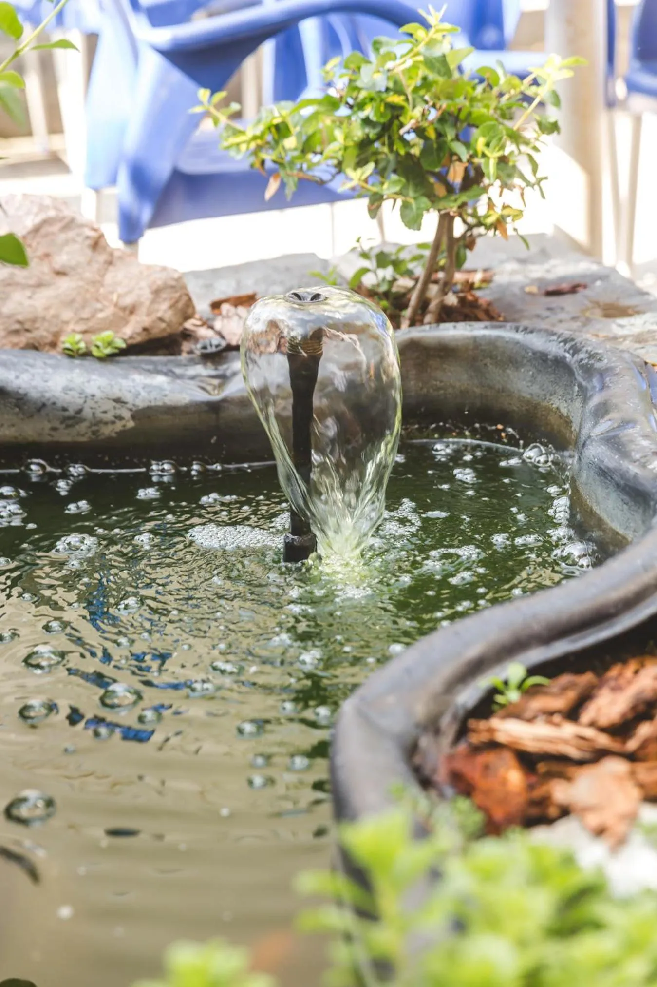 Garden in Hotel Karin