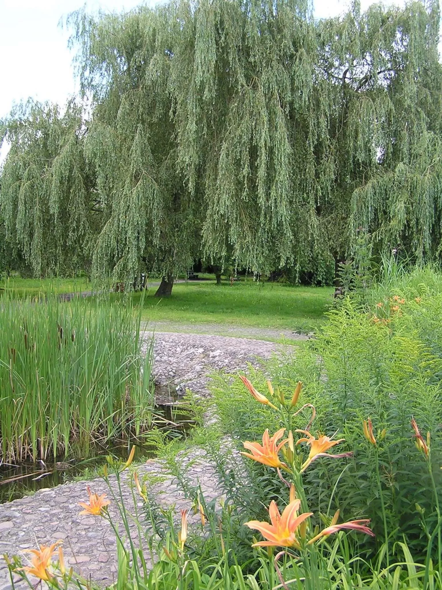 Area and facilities in HOTEL ODR
