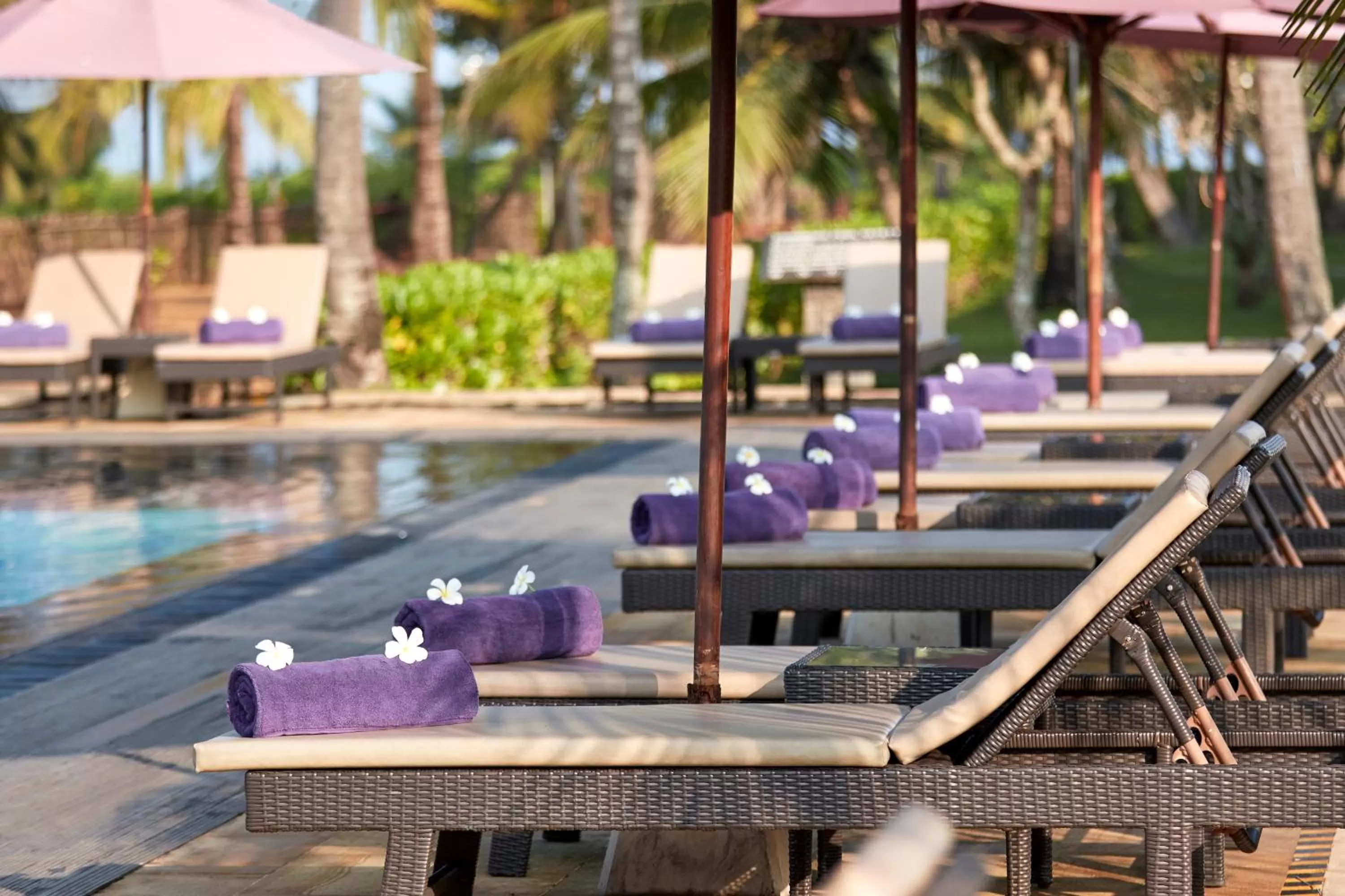 Swimming pool in Avani Kalutara Resort