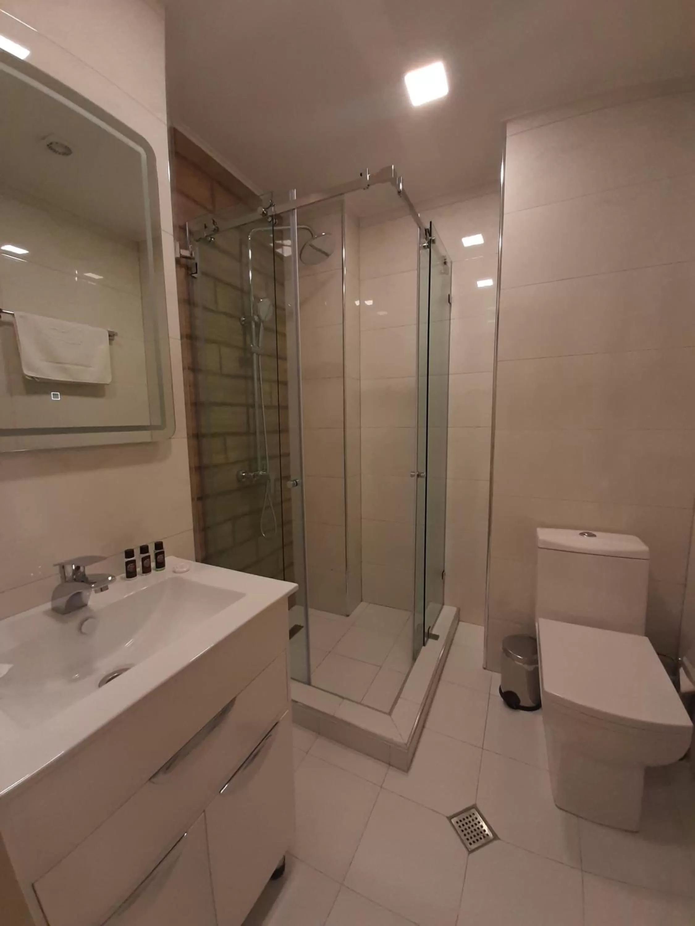 Shower, Bathroom in BG Palace Hotel