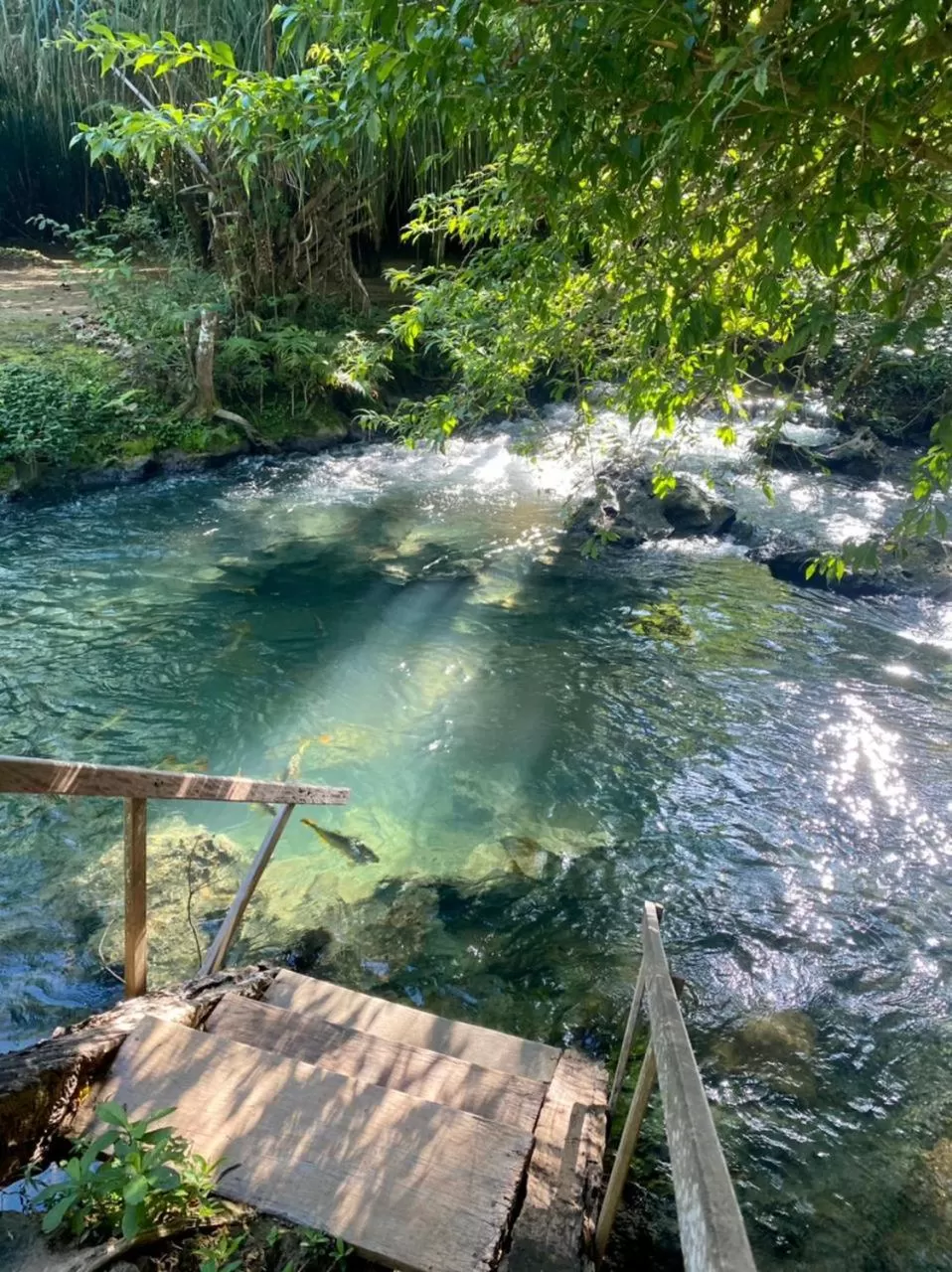 River view in Hotel Santa Esmeralda