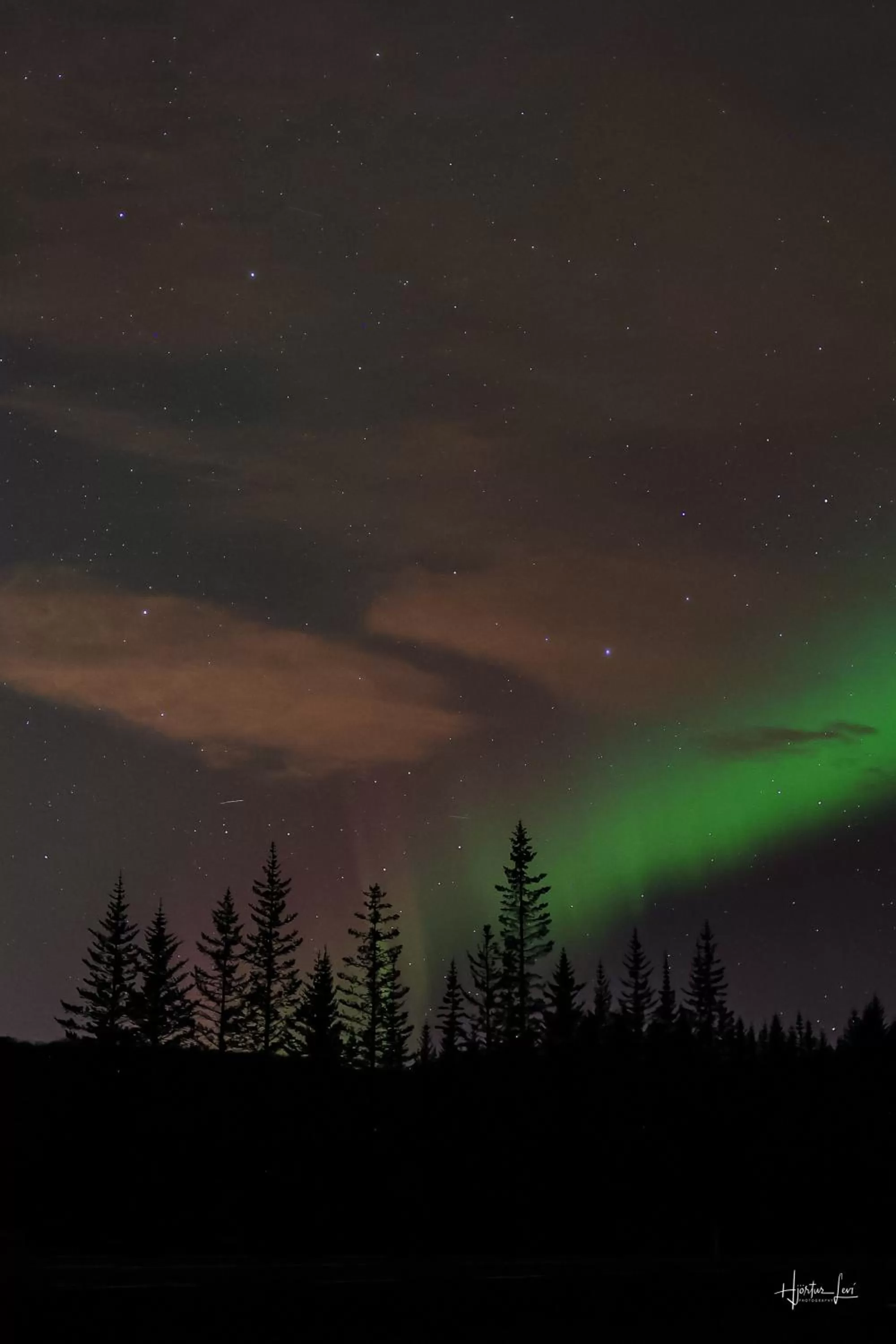 Natural landscape in Guesthouse Bitra B&B