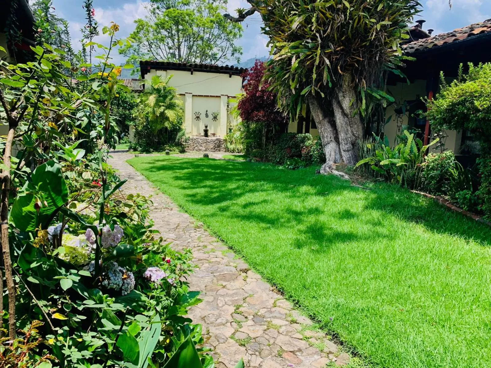 Garden in Hotel Museo Mayan Inn
